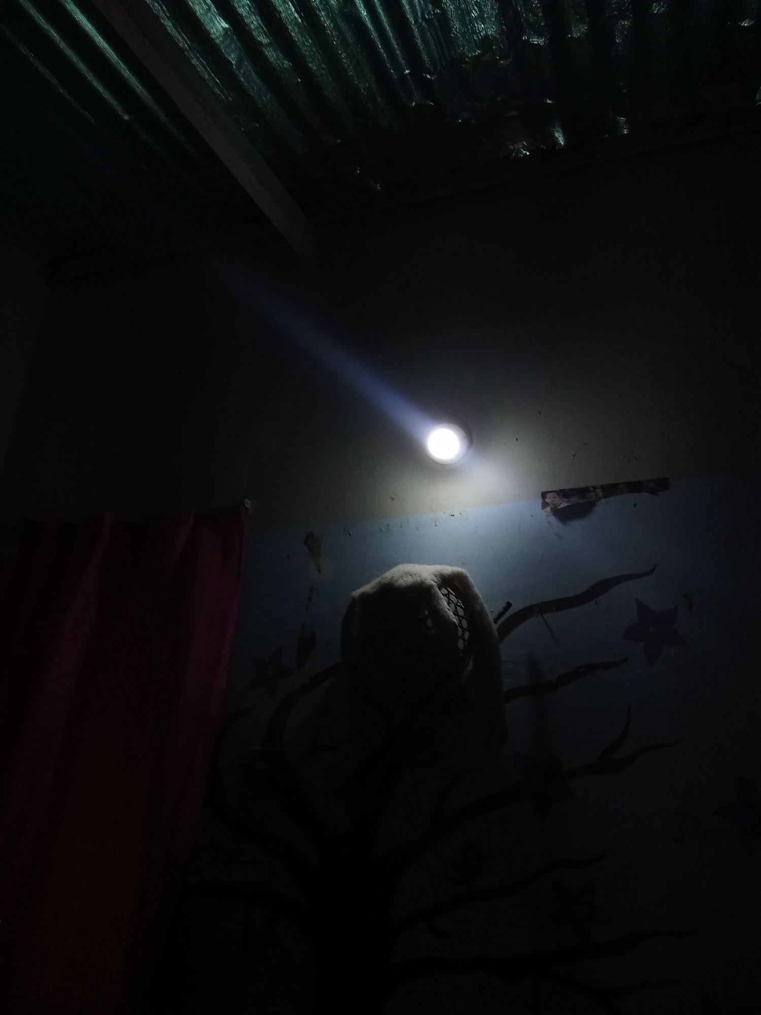 The image appears to be taken indoors in low-light conditions, possibly at night. A beam of light from an unseen source shines on a wall with dark floral designs and what looks like a photograph or cutout adhered to it. A pink curtain is visible to the left, mostly obscured by darkness. A stuffed animal, also largely obscured by darkness, is positioned in front of the wall. The location, Juan Griego, Venezuela, is specified but not visually confirmed by any recognizable landmarks or features in the image. The ceiling is corrugated metal.
