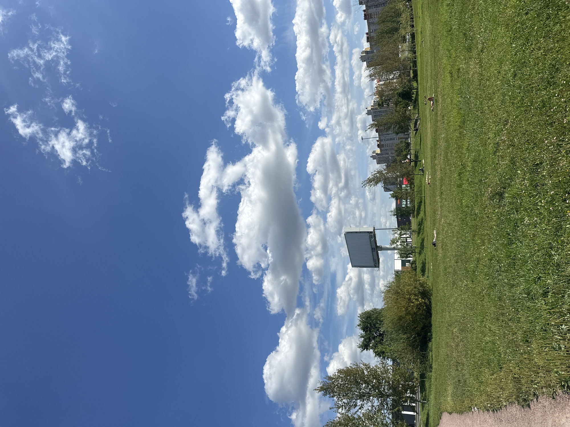 The image captures a sunny day in a park in the Moskovsky District of Saint Petersburg, Russia, likely near the Pulkovo Heights area, given the presence of apartment buildings characteristic of that region. A vast expanse of green grass dominates the foreground, with a dirt path visible on the left. Several individuals are scattered across the lawn, some appearing to be sunbathing or relaxing. In the middle ground, a large, empty billboard stands tall. Beyond the park, a line of modern apartment buildings stretches across the horizon, partially obscured by trees. The sky is a vibrant blue, dotted with fluffy white cumulus clouds. The overall scene suggests a leisurely day in an urban park setting.