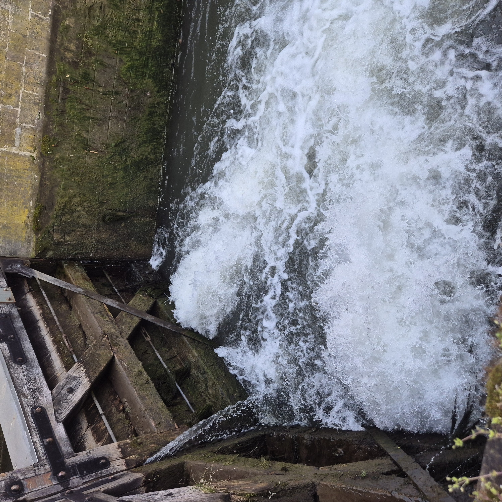 The image depicts a section of a working canal lock or sluice gate in Strasbourg, France. Water is actively and forcefully flowing from left to right, creating significant turbulence, white foam, and spray across the lower and central portions of the frame.
On the left, a vertical structure composed of weathered, dark brown wooden planks and beams is visible, reinforced with multiple black metal straps and fasteners. Water cascades down the left side of this wooden structure and through gaps, contributing to the turbulent flow. A thin, light-colored horizontal rod or pipe is partially visible within the wooden framework. Green moss and algae cling to the damp surfaces of the wood.
On the right side of the frame, a robust stone wall, constructed from large, light-colored rectangular blocks, forms the edge of the waterway. The lower two-thirds of this wall, near the water line, are heavily coated in dark green moss and algae, indicating prolonged moisture exposure. The upper portion of the stone wall displays lighter coloration with some yellow-brown discoloration. The water itself appears dark in areas of less turbulence. No individuals or discernible animal life are present in the scene.