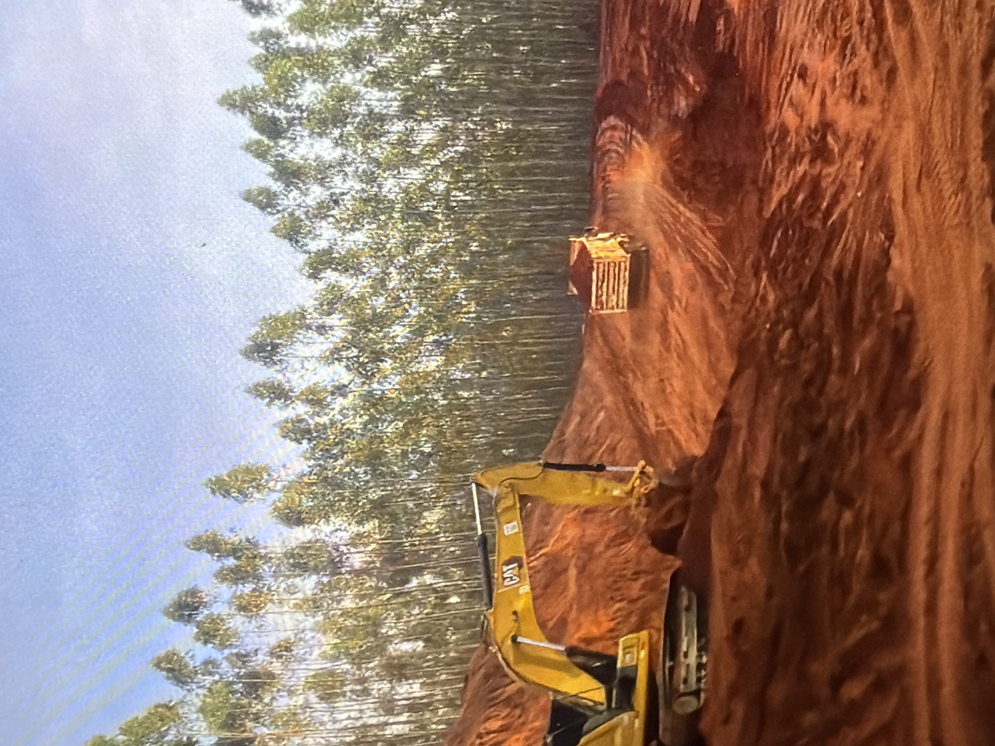 An excavator is digging in a muddy construction site. A yellow dump truck is driving away from the excavator on a dirt road, kicking up dust. The construction site is bordered by a forest of tall, thin trees. The sky is blue with some light clouds.