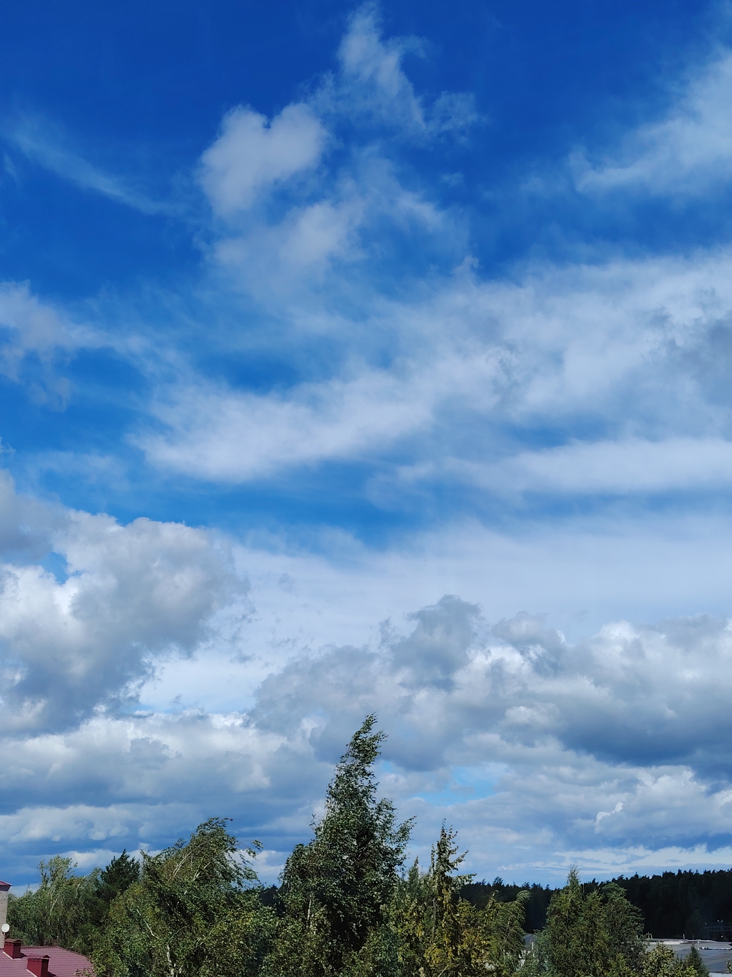 The image captures a dramatic sky over a landscape that includes trees and some buildings. The sky is a deep blue, filled with a complex arrangement of clouds. White, wispy clouds are scattered across the upper portion, with more dense, gray clouds forming lower down, suggesting approaching weather or a changing sky. The clouds have a textured, volumetric appearance.
In the foreground and midground, a dense line of trees stretches horizontally across the image. These trees are lush and green, with a variety of textures and shapes, indicating a mix of species. Some of the trees appear to be swaying, possibly due to wind, which is hinted at by the dynamic forms of the branches and foliage. To the far left, a section of a building with a red roof and chimneys is visible, suggesting a residential or semi-urban area. Beyond the trees, a dark, dense forest forms a backdrop, with hints of a lighter horizon line suggesting distance. The overall impression is of a natural landscape with some human presence, dominated by the dynamic and imposing sky. The scene is consistent with the environment found in Konakovo, Russia, a city known for its proximity to water and forests.