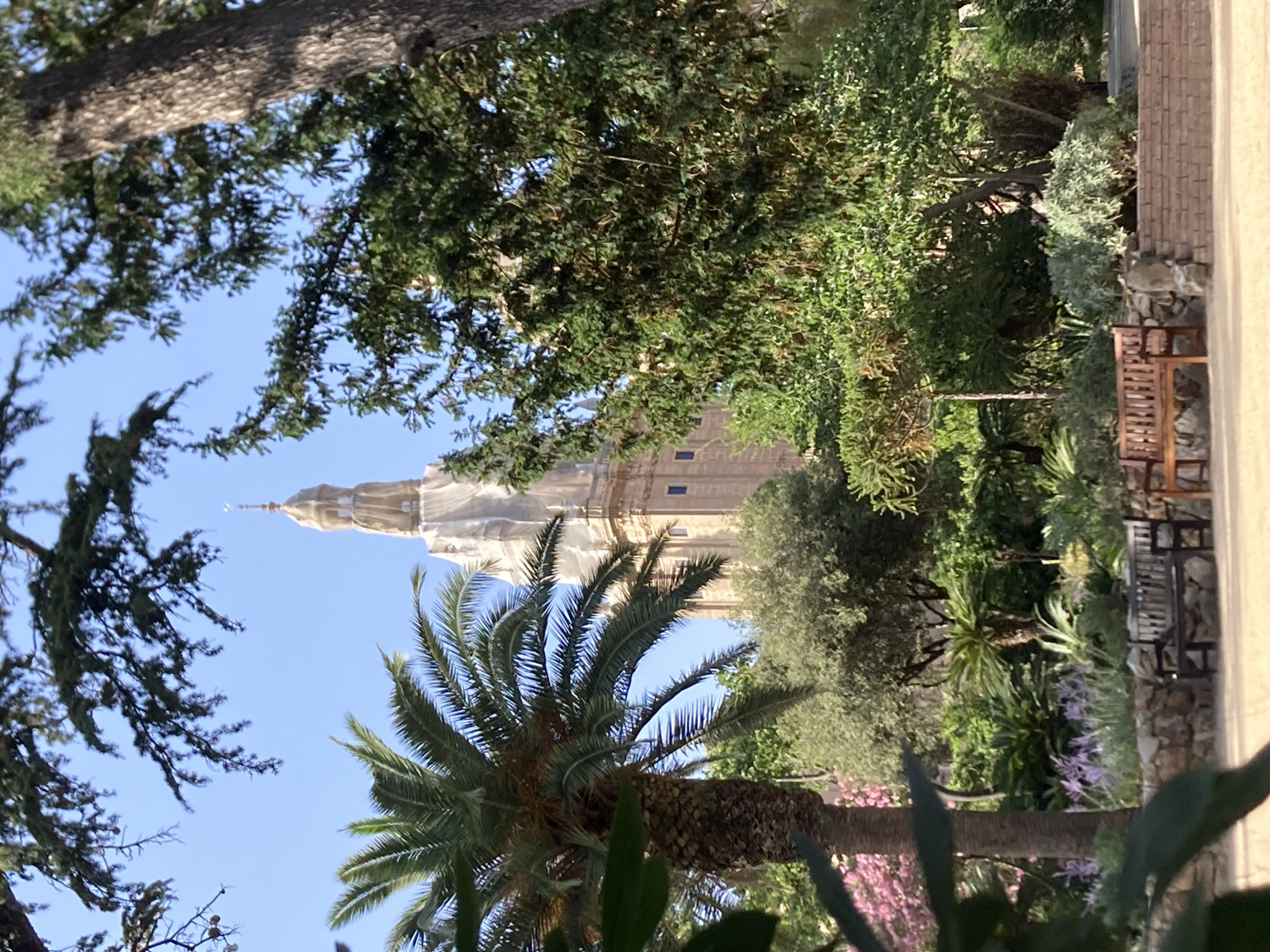 The image shows a view of the Sagrada Familia in Barcelona, Spain, from a garden. The top section of one of the basilica's towers is visible above the trees, covered in scaffolding, suggesting ongoing construction or restoration. In the foreground, a lush garden with various plants, including a palm tree and flowering bushes, is depicted. Two park benches are situated in the garden, one made of dark wood and the other of lighter wood. The sky is clear and blue.