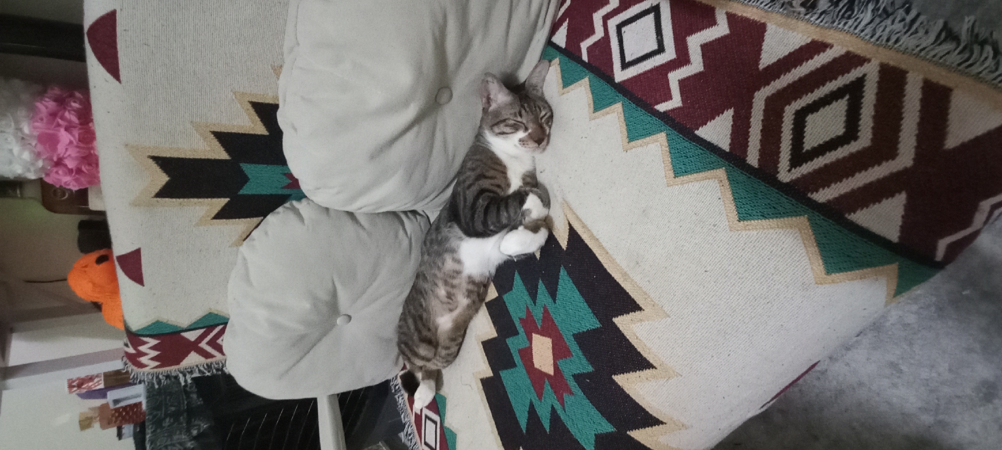 The image displays a peaceful indoor scene, likely in a living room or lounge area, set in Baan Chaloklum, Thailand. A domestic cat, appearing to be a tabby with brown and white stripes, is the central subject, captured mid-sleep. The cat lies on its back or side on a cushioned surface, its eyes gently closed, and its front paws curled up beneath its chin, conveying a profound sense of relaxation and comfort.
The feline rests upon two light-colored, tufted cushions, which are covered by a striking geometric patterned blanket or rug. This textile showcases a vibrant design featuring white, black, dark red/maroon, light green/teal, and beige/light brown colors, arranged in sharp zigzag lines and prominent diamond shapes, suggesting a Southwestern or tribal aesthetic. A fringed edge of the blanket is visible on the upper right.
In the soft-focus background on the left, several objects are partially visible. These include a voluminous, ruffled pink item, possibly a decorative pillow or fabric ornament, and an orange object, potentially a ball of yarn or another decorative piece, situated below it. Faintly visible at the bottom left are some rectangular items, possibly books or decorative boxes. The lighting appears soft and ambient, indicative of either natural daylight filtering indoors or gentle artificial light. There is no visible text in the image.