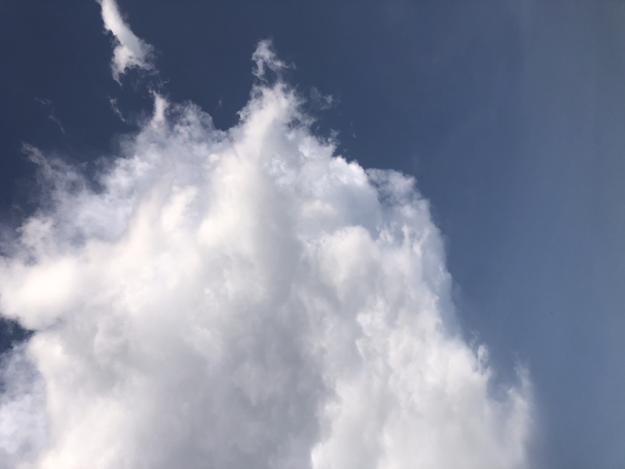 The image shows a close-up view of a cloud formation against a clear blue sky. The clouds are predominantly white and grey, with some appearing wispy and others more dense and voluminous. They occupy the left and upper portions of the frame, with their edges sharply defined against the deep blue of the sky on the right. The sky is a uniform, bright blue, with no visible sun or other celestial bodies. There are no discernible man-made structures or natural landscapes visible in the image, suggesting it is an aerial or high-altitude perspective. There is no information in the image to suggest a specific location in the city of Kabong, Nigeria. The image is a still photograph and does not capture any actions or interactions.