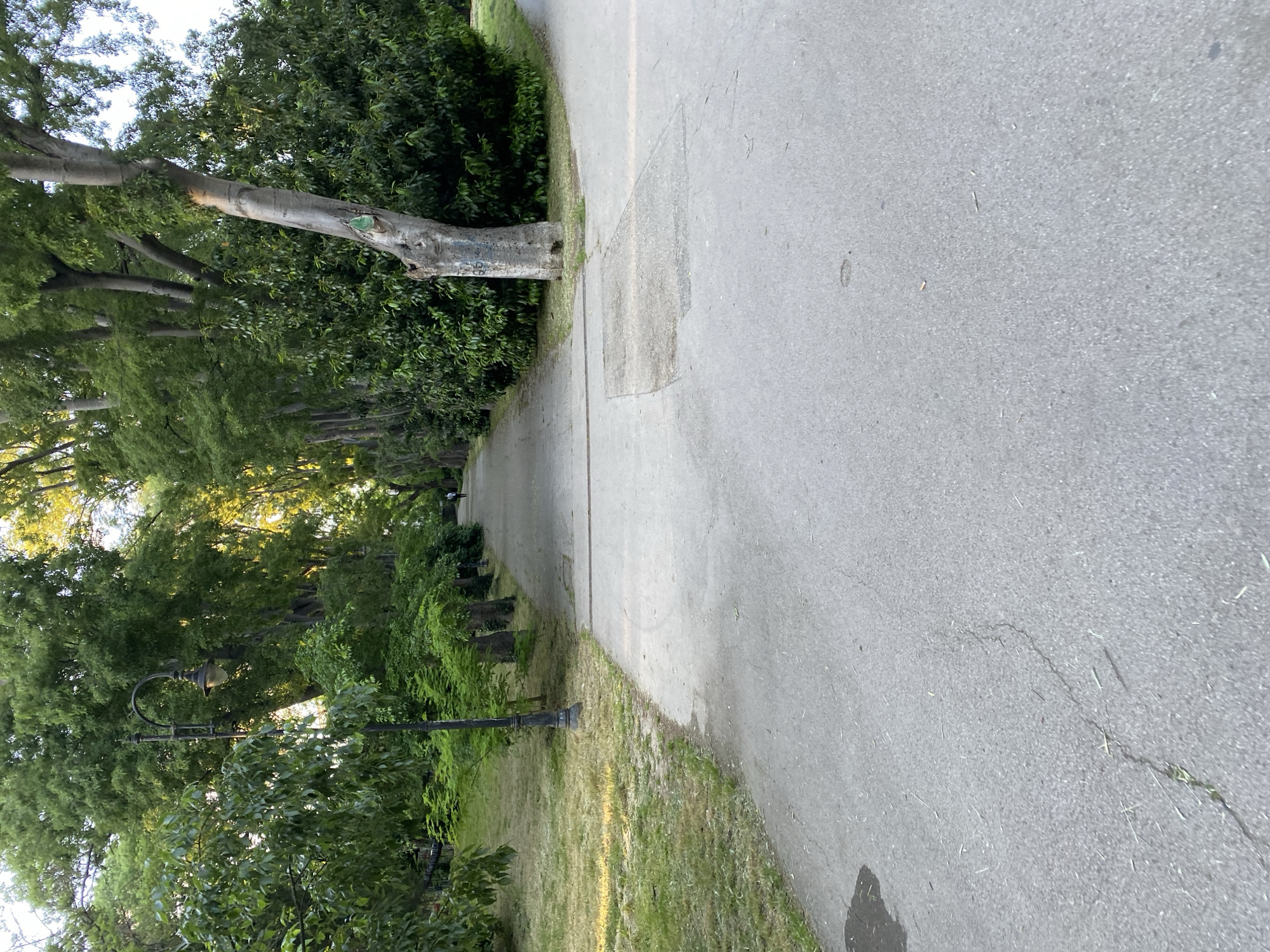 The image shows a paved pathway in a park, possibly in Varna, Bulgaria, judging by the local flora and park design. The pathway is flanked by green vegetation, primarily trees and shrubs, typical of a park environment. A tree trunk extends partially over the path. There's a vintage-style lamppost visible on the left side of the path. The day appears to be bright, with sunlight filtering through the trees.