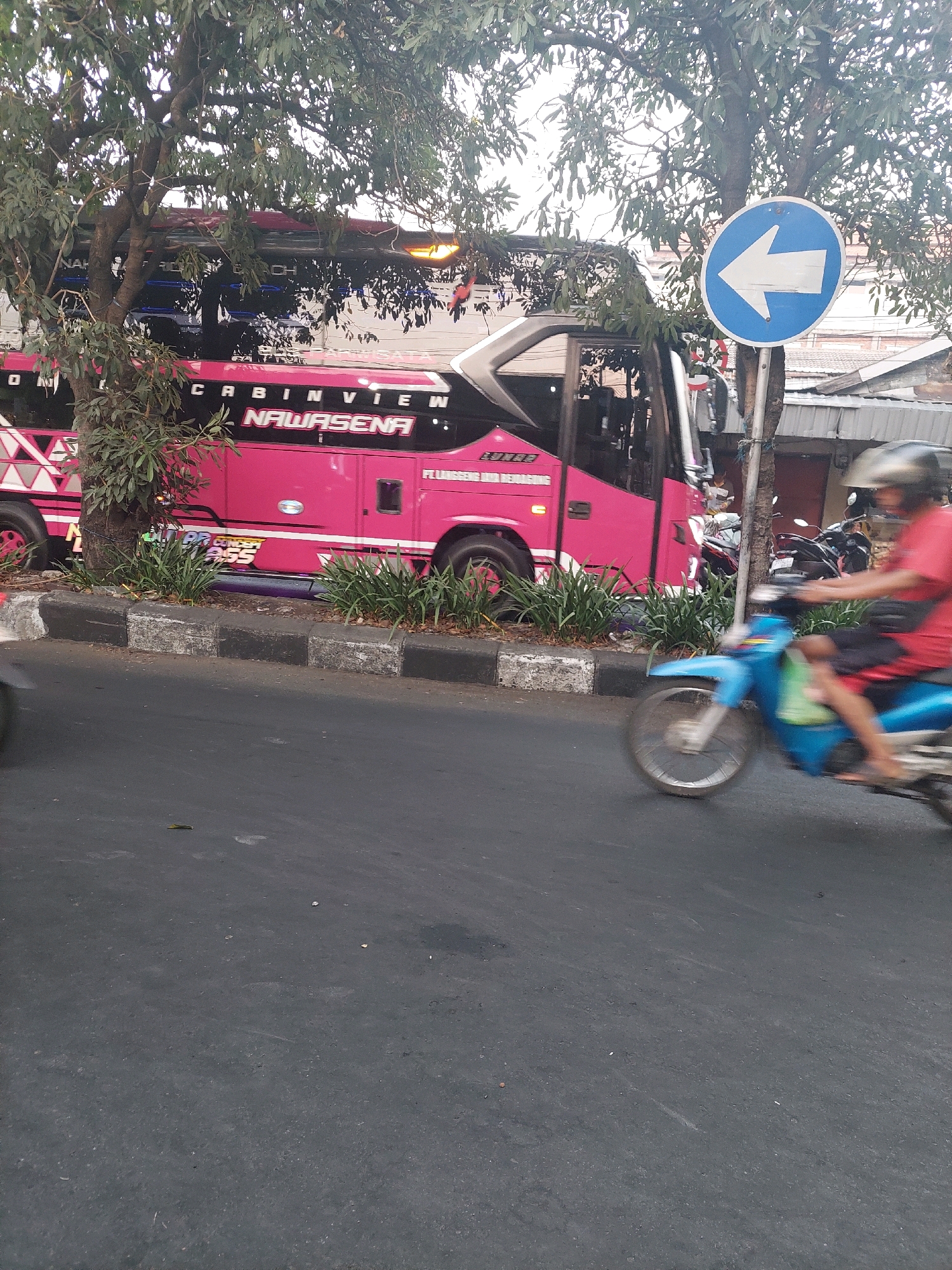 A pink bus with "CABINVIEW NAWASENA" written on its side is parked on the side of a street in Surabaya, Indonesia. A blue motorcycle with a person in a red shirt and helmet is passing by in motion blur. The street is paved with asphalt, and there are trees and buildings in the background. A blue and white traffic sign with a white arrow pointing left is visible to the right of the bus. The bus appears to be a passenger bus, possibly for intercity travel. The scene is likely during daylight hours.
