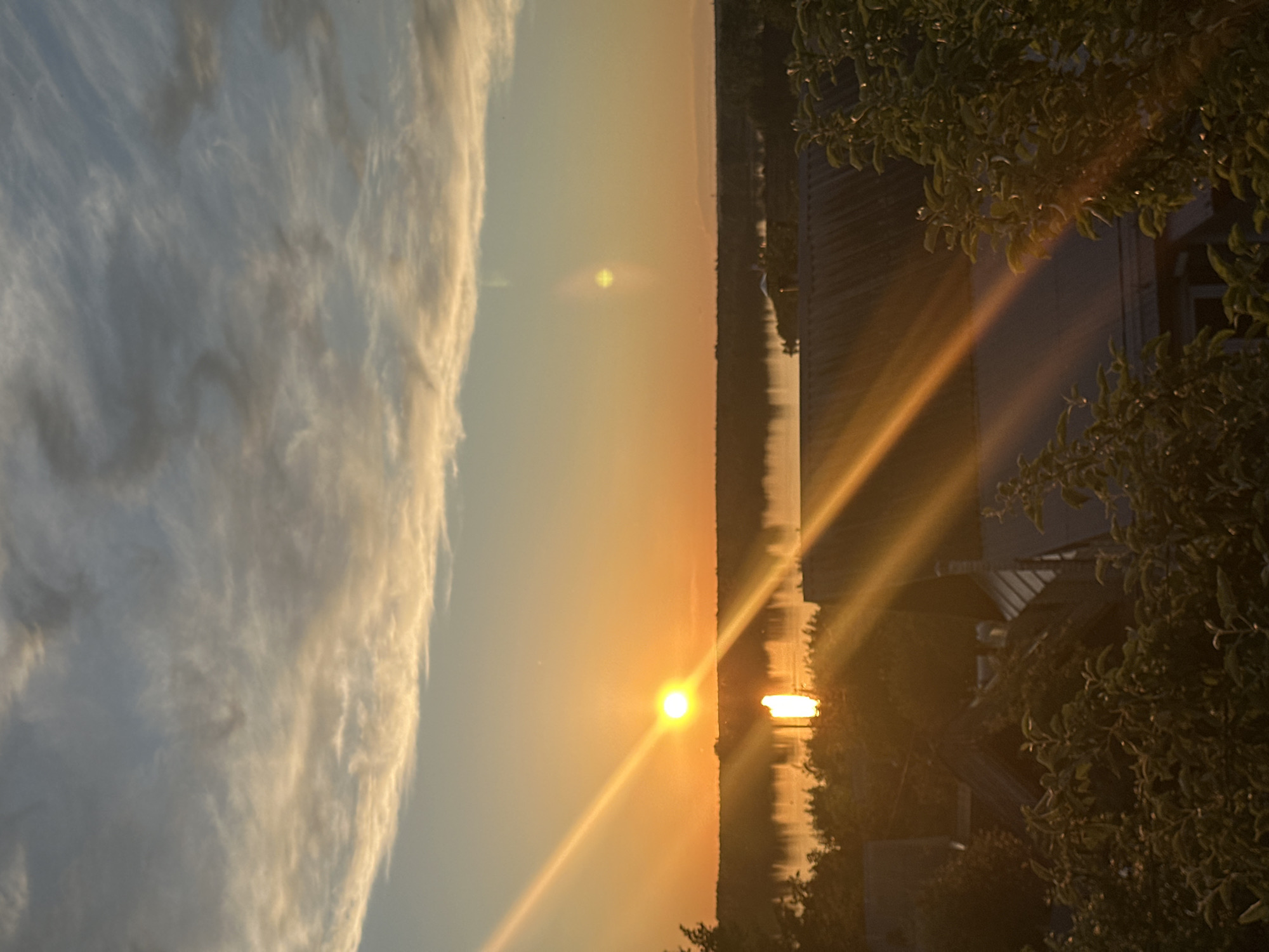 The horizontally oriented image captures a serene sunrise or sunset over a wide body of water in Chaikovsky, Russia. The bright golden sun is positioned low in the sky towards the center-right, casting intense, warm rays that extend diagonally across the water and into the foreground, accompanied by a prominent lens flare.
The sky transitions from soft light blue on the left to vibrant orange and yellow hues around the sun. A large section of the left sky is filled with delicate, wispy white and light gray clouds, beautifully illuminated by the sun's light.
Below the horizon, a calm body of water, likely a river or lake, reflects the sun as a bright, vertical streak of golden light. A faint, dark line of land or distant trees marks the horizon on the far bank of the water.
In the immediate foreground on the right side of the frame, dark silhouettes of dense foliage, appearing as tree branches and leaves, partially obscure the view. Behind this foliage, parts of a dark structure, possibly a building or roofline, are subtly visible in silhouette against the lighter background. The strong backlighting creates a dramatic contrast between the luminous sky and water and the shadowed foreground elements.
The scene conveys a peaceful atmosphere, indicative of either dawn or dusk. No people or visible text are present in the image.