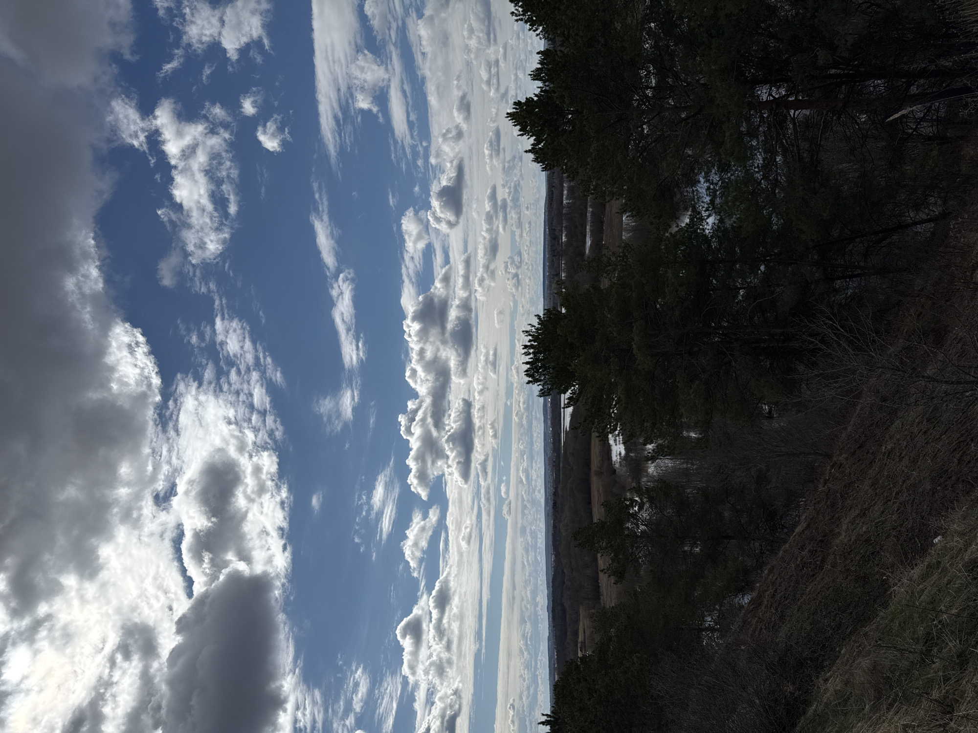 The image shows a landscape scene, likely taken in a natural area near Glazov, Russia. The sky occupies a significant portion of the image, displaying a bright blue color with scattered white and gray cumulus clouds. On the right side of the image, there's a dense group of evergreen trees, probably pines, forming a dark mass. Below the trees, there appears to be a sloped area covered with dry grass and some underbrush. In the middle ground, there's a distant view of what might be a flat, open area, possibly a field or a body of water, with some indistinct structures visible in the background. The image is rotated 90 degrees clockwise, giving a vertical orientation to the horizontal landscape.