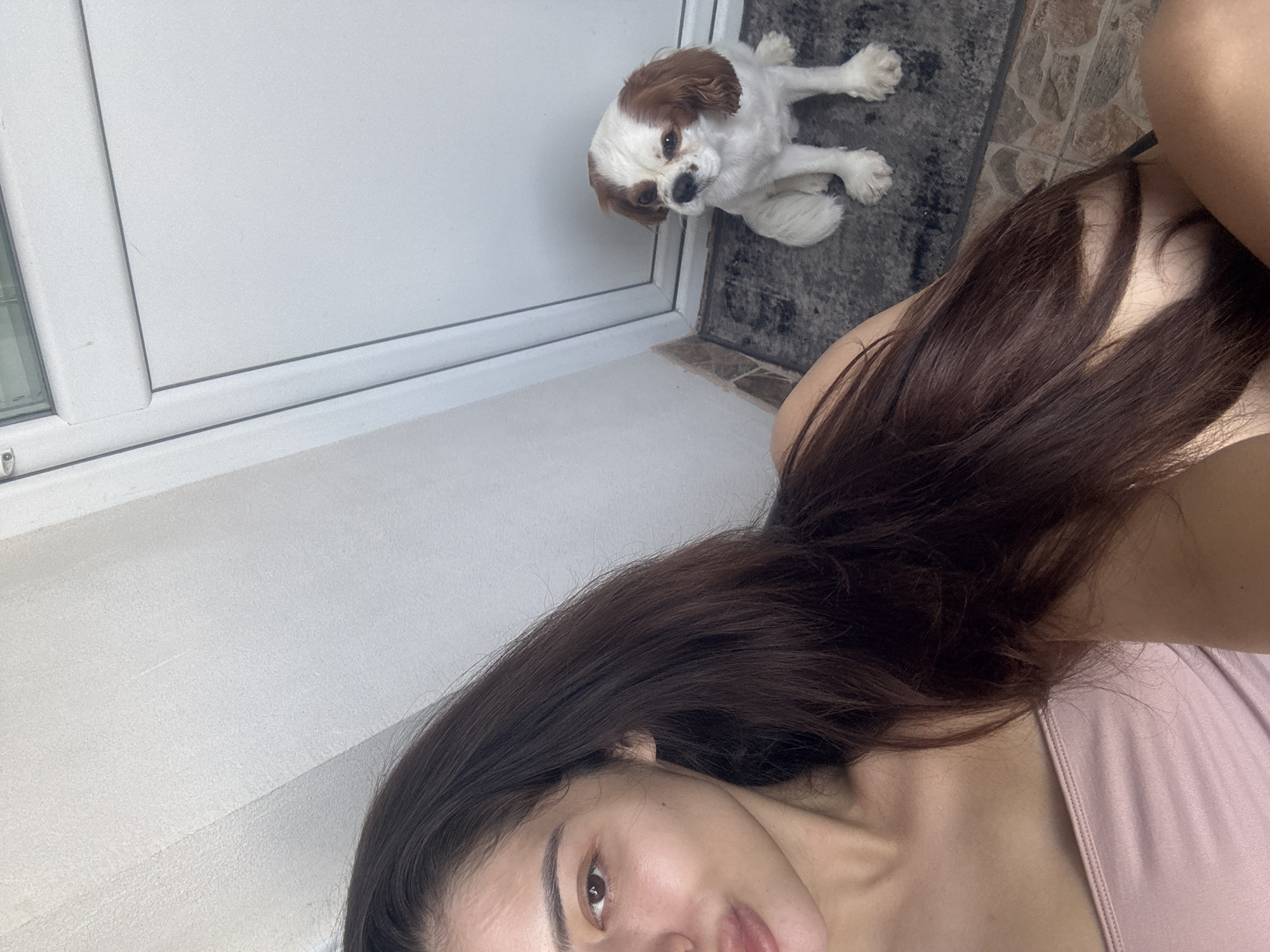 A high-angle selfie shot depicts a person and a dog in what appears to be an indoor or covered patio setting. The image is rotated counter-clockwise, with the person's head on the lower right and the dog in the upper middle.
The primary subject is a person, likely female, whose face is partially visible in the lower right quadrant. She has long, dark brown hair that cascades over her shoulder and arm. Her right eye, nose, and mouth are visible, and she appears to be looking directly at the camera with a neutral or slightly smiling expression. She is wearing a light-colored, possibly pink, top.
The secondary subject is a small dog, possibly a Cavalier King Charles Spaniel, positioned towards the upper right. The dog has white fur with brown patches, notably on its ears and head, and is sitting attentively, looking up towards the camera.
The setting includes a prominent white surface, likely a wall or a doorframe, extending along the left and top edge. A darker, textured floor, possibly composed of tiles or a rug with a stone-like pattern, is visible beneath the dog and extends to the right. The transition between the white surface and the dark floor is clearly defined.
The activity captured is a casual moment, possibly a self-portrait with a pet. The lighting appears to be natural, suggesting it is daytime. There is no visible text in the image. The location context of Plovdiv, Bulgaria, is provided, though no specific visual cues within the image confirm this location.