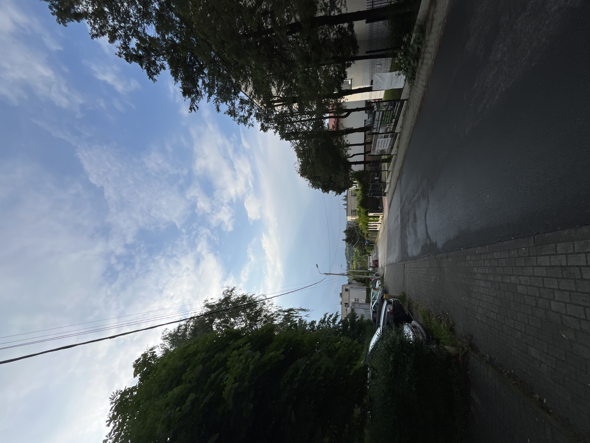 The image, oriented vertically, presents a tranquil urban or suburban street scene under a bright sky. A dark asphalt road and a grey brick-paved sidewalk stretch into the distance. Lush green trees line both sides of the street, partially obscuring multi-story residential buildings that appear behind them. Several cars are parked along the right side of the road, including a dark sedan and a lighter-colored vehicle.
The sky is a clear blue with scattered white, wispy clouds. A utility pole and power lines are visible crossing the upper left portion of the sky, and a street lamp stands further down the road. The road surface appears dark and might be wet, suggesting recent rainfall or morning dew.
The scene is devoid of people and activity, conveying a peaceful atmosphere. Visible details include dark fences in front of some buildings. Along the right side of the street, several signs or banners are attached to fences. Prominently displayed text on one sign reads "OGRODY ZIMOWE" (Winter Gardens), with additional phrases like "KOMPLEKSOWE..." and "REALIZACJA OD A DO Z." Phone numbers, including "tel. 603 631 400," are also present. The Polish text on these signs suggests the location is in Poland. The lighting indicates either early morning or late afternoon.