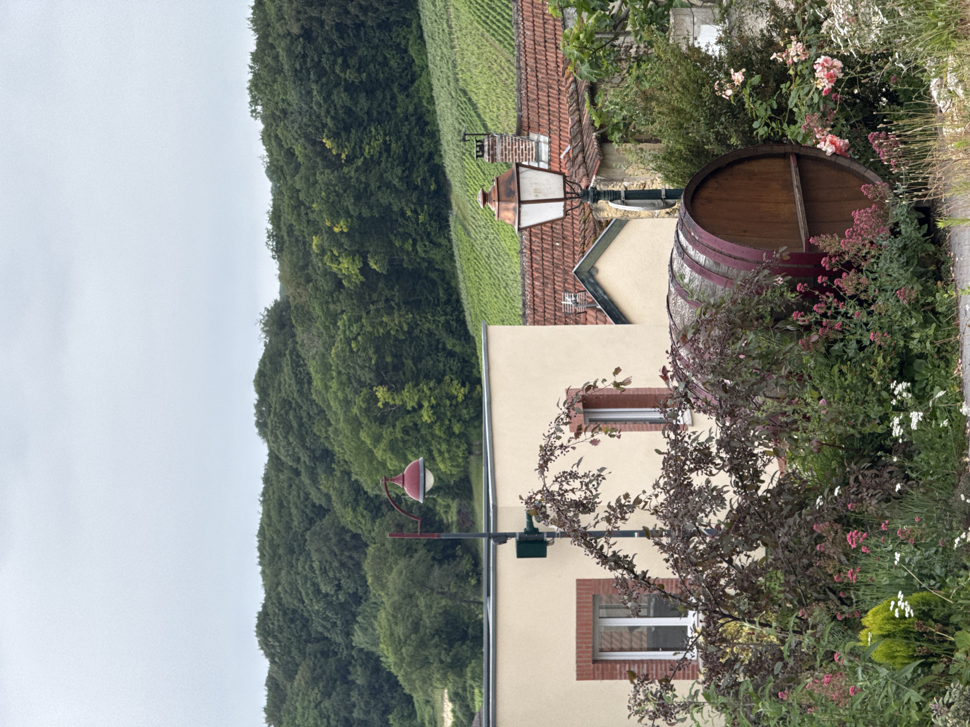 This media file captures a tranquil rural scene in Champillon, France, showcasing a village setting nestled within a hilly, vineyard-covered landscape. The image, when properly oriented, presents a composition from foreground elements to distant natural features under an overcast sky.
In the immediate foreground, on the right side, stands a cream-colored building featuring windows framed with brickwork. A lush garden flanks the building, filled with various green bushes, some adorned with pink and white flowers, and a small tree with dark, possibly purple, leaves. A prominent feature is a large, weathered wooden wine barrel, decorated with reddish bands, which is integrated into the garden, possibly as a planter or decorative element. Two street lamps are visible: an antique-style metal and glass lantern attached to a pole near the building, and further down, a more modern red and white lamp.
Beyond the foreground, the scene transitions to tiled rooftops of other village houses. A significant portion of the midground is occupied by expansive vineyards, with parallel rows of vibrant green grapevines ascending a gentle slope, indicating the region's viticultural identity.
The background, predominantly on the left, is characterized by a dense, dark green forest that covers a substantial hillside, creating a natural and verdant backdrop. The sky above is uniformly light gray, suggesting an overcast day.
The image depicts a daytime scene, illuminated by soft, diffused light, without direct sunlight. There are no people visible, and no discernible text appears in the frame. The presence of vineyards and a wine barrel firmly places the location within a wine-producing area, consistent with Champillon's reputation in the Champagne region of France. The overall atmosphere conveys peace and rustic charm.