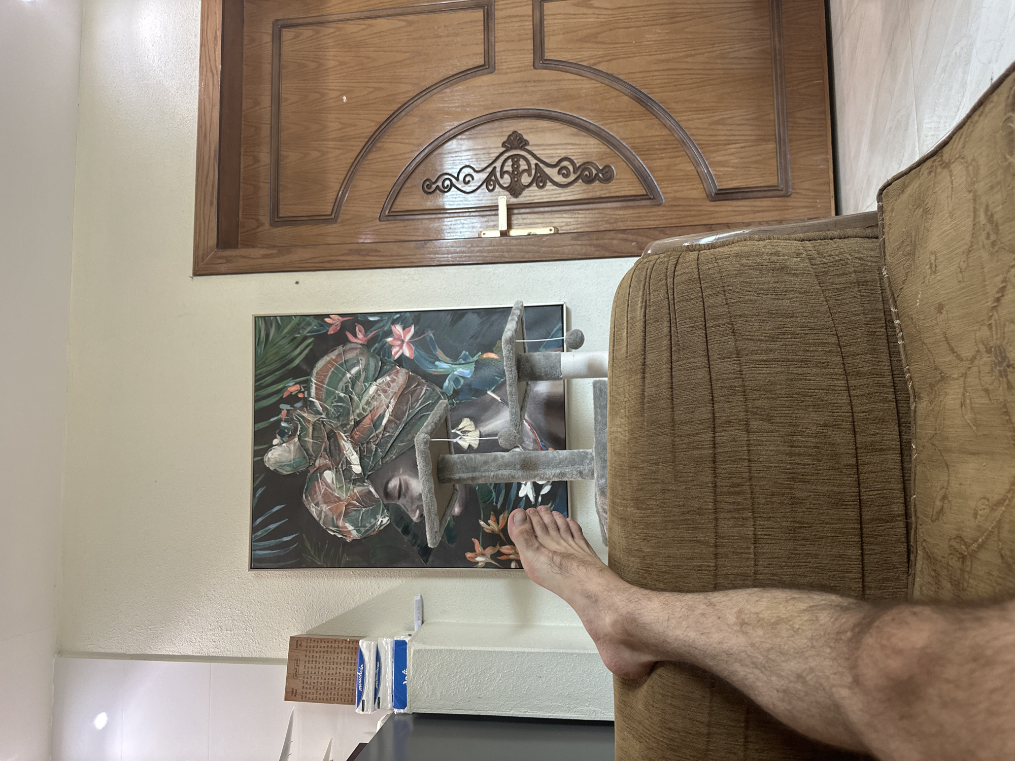 The image depicts an indoor scene, likely a living room, where a person's bare left leg and foot are resting on a brown, textured sofa. The leg is hairy and appears to be from an adult. The environment features a wall with a textured finish in a neutral tone. On the wall, a framed artwork is displayed, featuring a stylized portrait of a woman wearing a colorful head wrap and jewelry, with tropical foliage in the background. To the right of the artwork, a wooden door with decorative carvings and a brass door handle is visible. In the background, to the left of the artwork, a stack of books and tissue boxes are placed on a white surface. The overall impression is of a casual domestic setting. The specific location in Riyadh, Saudi Arabia, cannot be determined from the visual information provided in the image.
