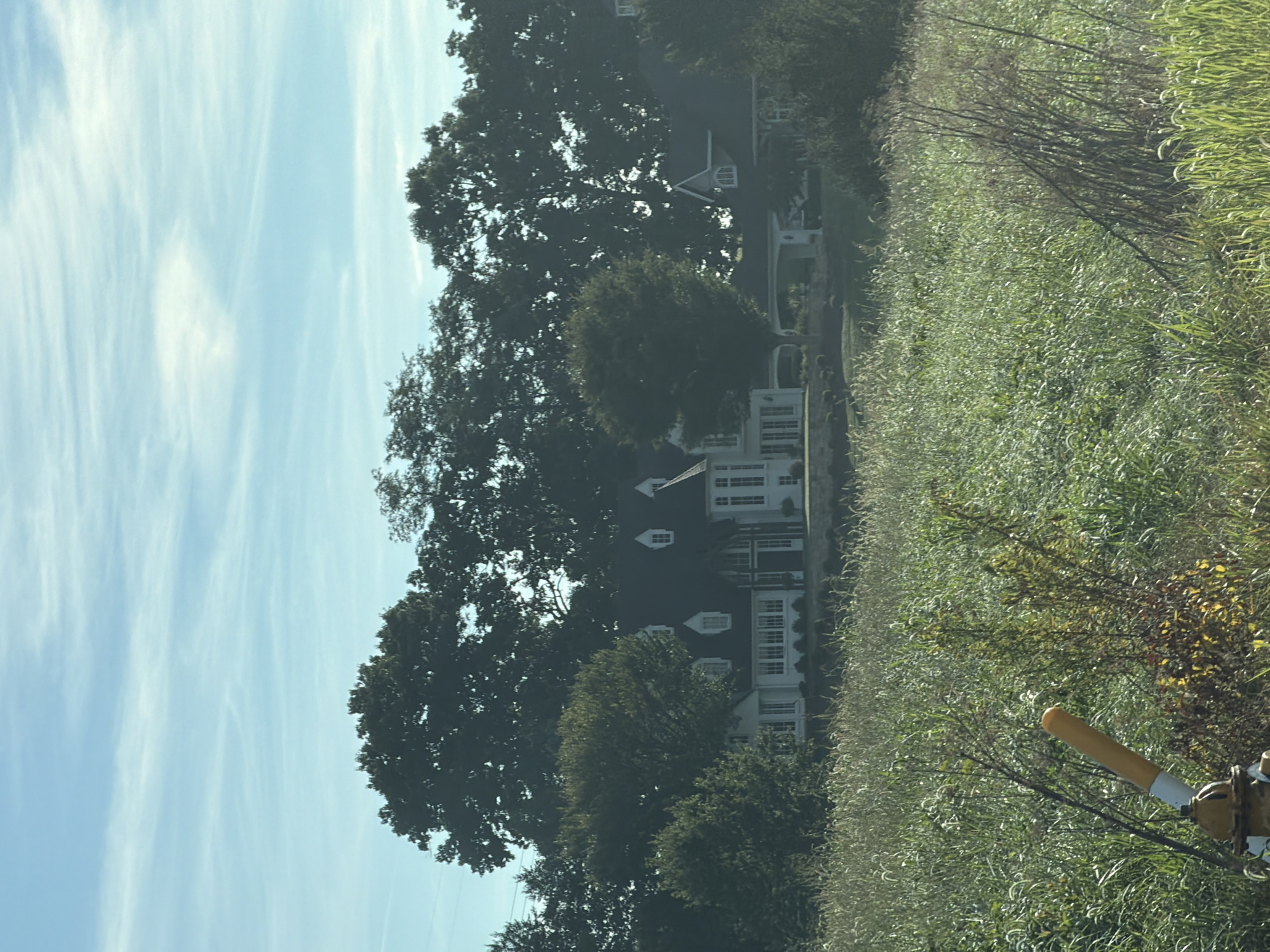 In Peters Township, Pennsylvania, a large white multi-story house with a dark roof is visible behind a dense field of tall green grass and vegetation. The house features multiple windows, dormers, and what appears to be an attached covered carport. Trees line the background behind the house. In the foreground, a yellow fire hydrant with a white cap is partially visible amongst the grass. The sky above is a clear blue with thin, wispy white clouds.