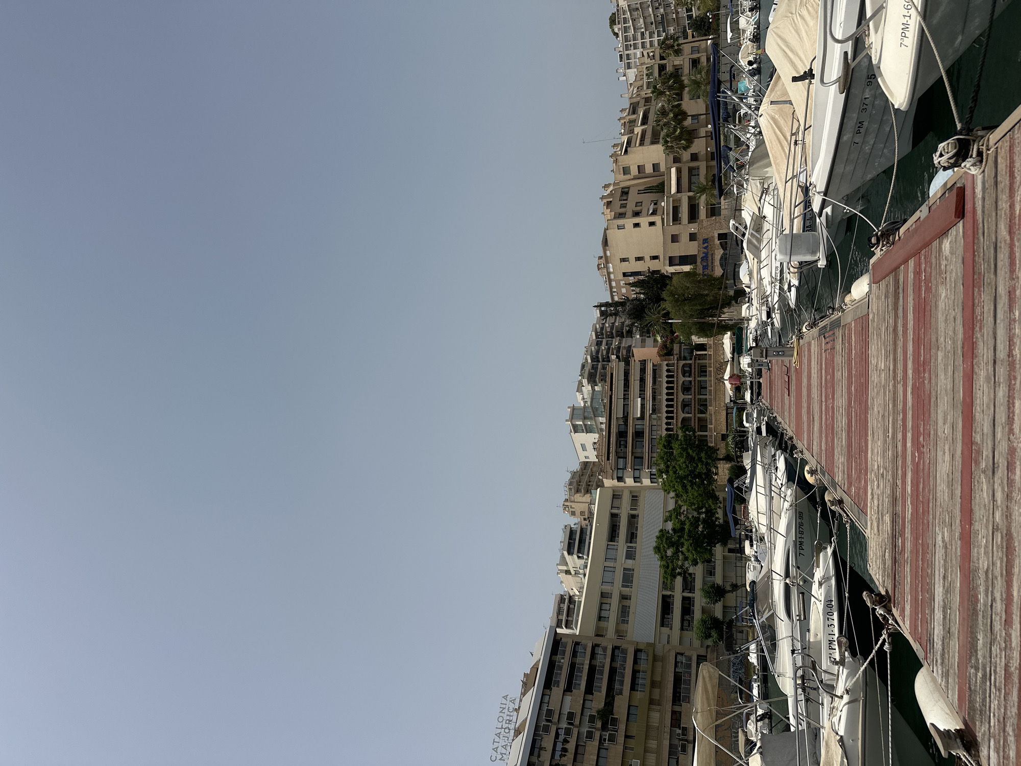 This media file captures a marina scene in Palma, Spain, oriented vertically. The foreground is dominated by a weathered wooden pier with red-stained planks, showing signs of age. Moored alongside the pier are several white sailboats, their covers partially obscuring them. The boats are lined up neatly, tethered by thick ropes to the pier. Some of the boats have registration numbers visible, including "7 PM 371 95," "7°PM-1-876-99," and "47 PM-1-370-04."
In the background, a dense urban landscape rises, characterized by numerous multi-story buildings with light-colored facades. These buildings appear to be apartments or hotels, many featuring balconies and a consistent architectural style. The architecture suggests a Mediterranean setting. Green trees are interspersed among the buildings, adding touches of nature to the built environment.
The sky is a clear, pale blue, indicating a bright, sunny day, likely mid-morning or afternoon given the strong sunlight casting shadows. There are no people prominently visible in the frame, suggesting a quiet moment in the marina. The overall mood is serene and typical of a sunny day at a European harbor. Text visible on one of the buildings reads "CATALONIA MAJORICA."