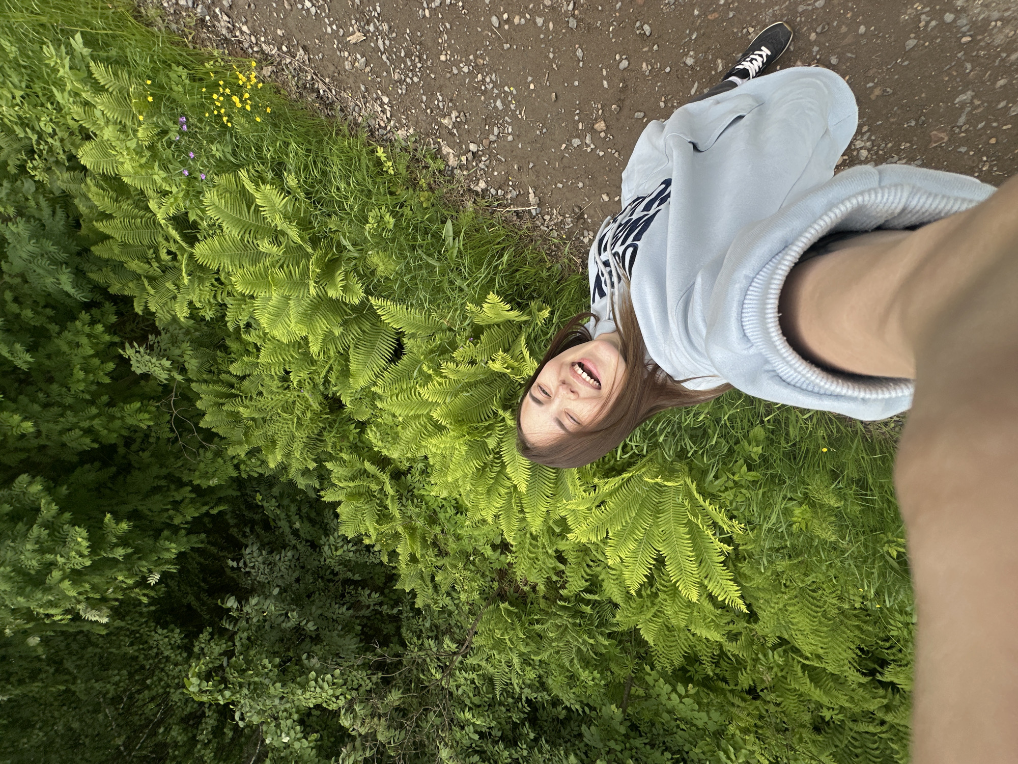 A young woman with long brown hair is smiling and laughing as she takes a selfie outdoors. She is wearing a light blue hooded sweatshirt and black sneakers with white laces. The woman is positioned on the right side of the frame, with her body angled towards the left. She is surrounded by lush green ferns and other vegetation. A dirt path with small rocks runs along the right edge of the image. The background consists of more dense greenery and trees. The lighting suggests it is daytime, with soft shadows. The location is identified as Zhebrei, Russia.
