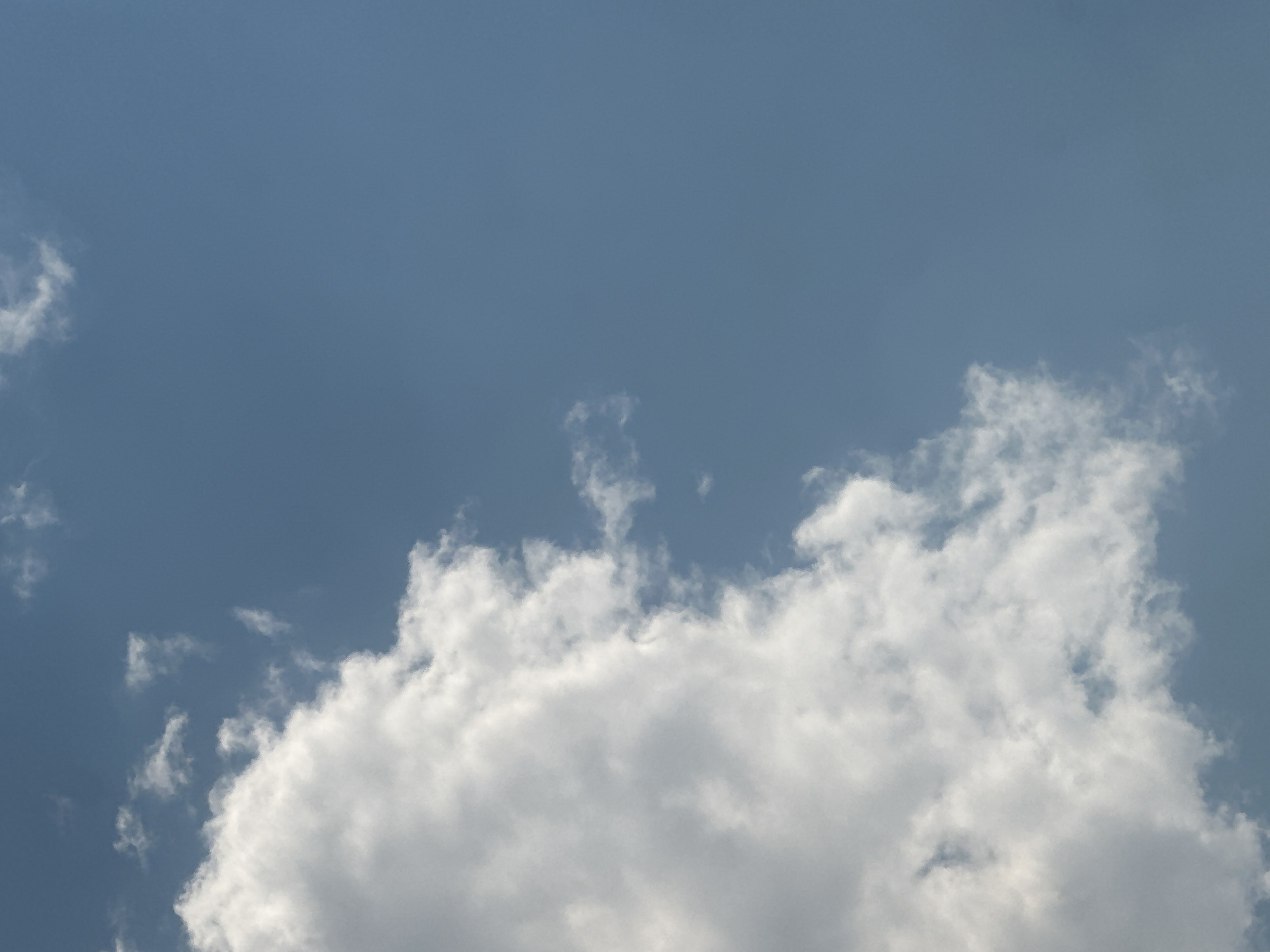 This image captures a sky filled with fluffy, white clouds against a soft blue background. The clouds are predominantly located in the lower half of the frame, with a large, dense formation dominating the bottom right corner. Smaller, more scattered clouds are visible throughout the rest of the sky, some appearing wispy and delicate. The overall impression is of a clear day with some cloud cover. The lighting suggests it is daytime, possibly late morning or afternoon, as the clouds are brightly illuminated. There are no people, objects, or text visible in the image, focusing solely on the natural phenomenon of the sky and clouds. The setting is an outdoor environment where one would look up at the sky.