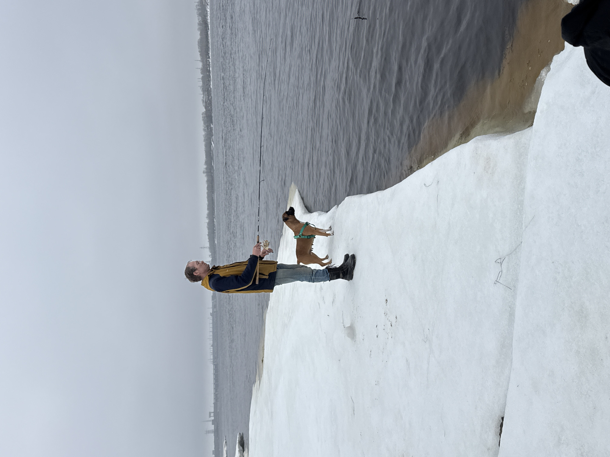 A man and a dog stand on a snow-covered ledge beside water, presumably fishing, in Chaikovsky, Russia. The man is facing the water, holding a fishing rod. He is wearing a blue jacket and jeans. A dog is standing behind him, looking toward the water. The water is gray and choppy. Buildings are visible in the distance. The sky is overcast.