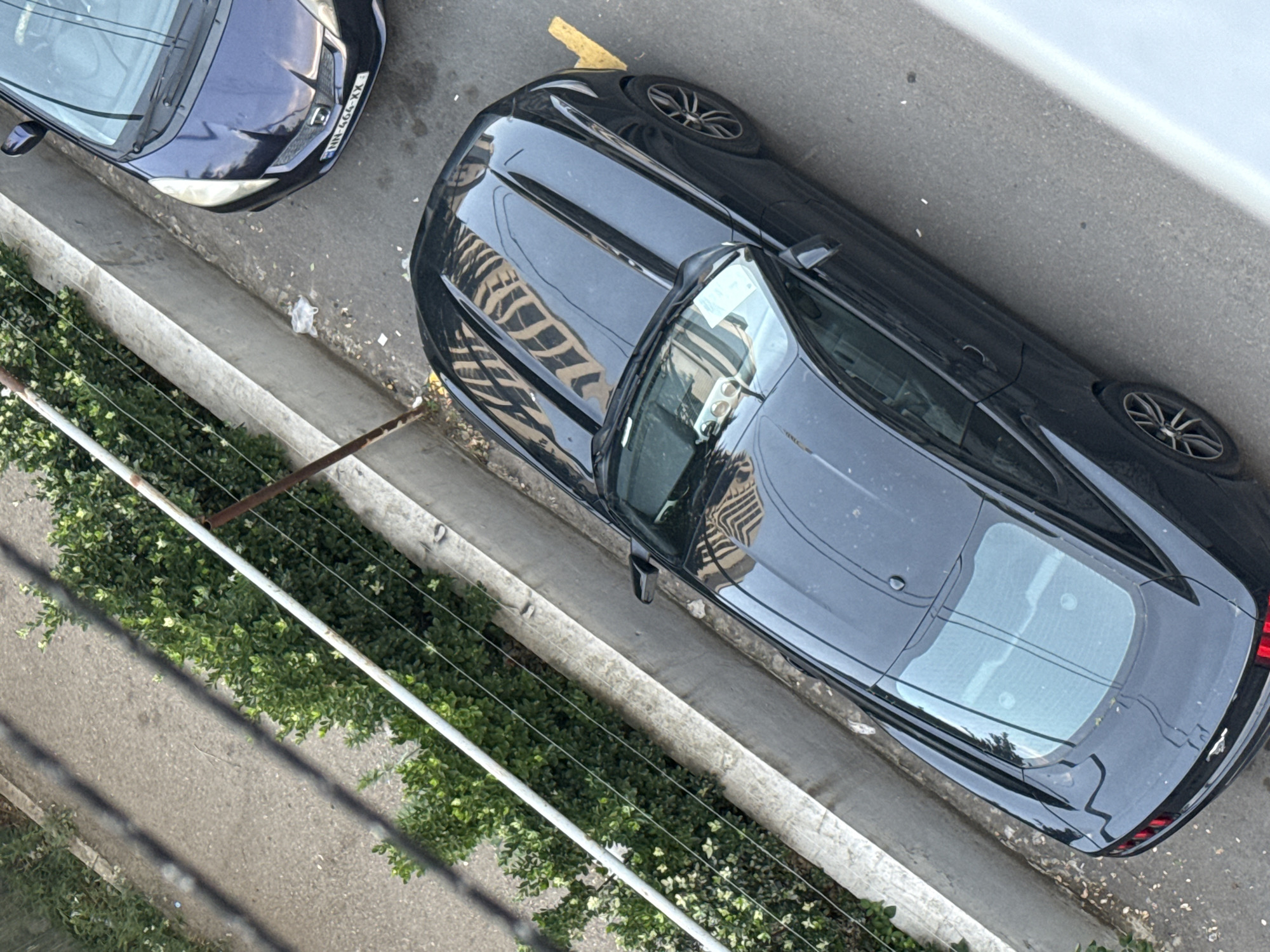 An aerial view captures a dark-colored Ford Mustang parked on an asphalt surface in Tbilisi, Georgia. The car is positioned on the right side of the image. To the left of the Mustang, a smaller, dark blue vehicle, identified by a license plate reading "NN-464-XX," is also parked. Both vehicles are stationary. The environment surrounding the parked cars consists of a low concrete barrier and lush green bushes. The asphalt appears worn and includes some scattered debris. Reflections of buildings are visible on the hoods and windshields of both vehicles. The scene is illuminated by daylight, casting shadows consistent with an overhead light source.
