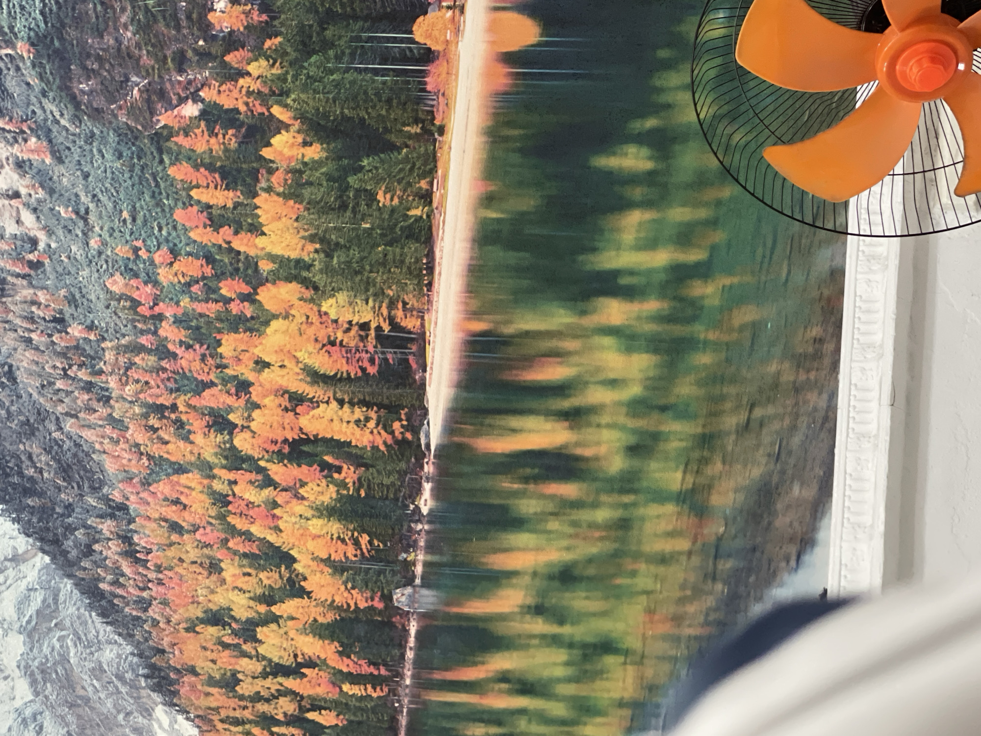 The image shows a portion of a wall with a large, colorful mural of an autumn forest scene with a lake. The mural depicts a mountainside covered in trees with vibrant orange, yellow, and green foliage, leading down to a calm lake that perfectly reflects the scene above. The foreground of the image is partially obscured by a white object on the left and a black electric fan with bright orange blades on the right. The fan is positioned in the lower right corner of the frame, with its blades visible and partially obscuring the mural's reflection. The overall impression is of an indoor space with a decorative mural. There are no people visible in the image, and no specific location in Bishkek City, Kyrgyzstan, can be identified from the visual information provided.