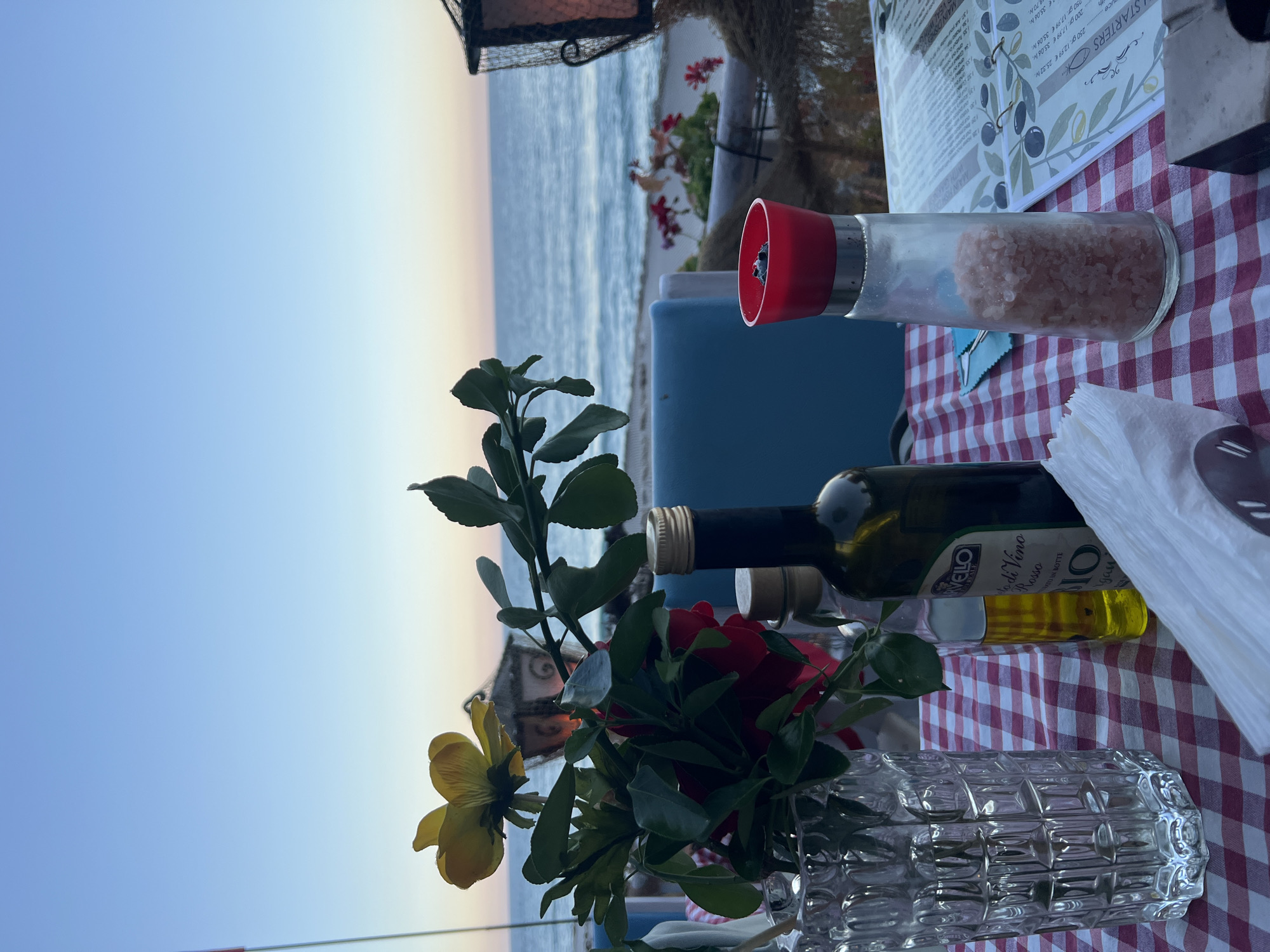 A close-up, low-angle shot shows a table set for a meal at a seaside restaurant in Sozopol, Bulgaria, overlooking the Black Sea at dusk. The table is covered with a red and white checkered tablecloth. In the foreground, on the left, is a clear, patterned glass vase with a bouquet of red roses and a yellow flower. To the right of the vase, a bottle of olive oil and another small glass bottle are visible. Further to the right, a dark glass bottle, likely wine, stands next to a salt shaker filled with pink salt and a red lid. A white napkin rests on the table in front of the salt shaker. A menu is partially visible on the right side of the table. In the background, a beach and the calm sea are visible under a pale, clear sky transitioning from blue to a soft pink and orange hue near the horizon. A few beach chairs and umbrellas can be seen on the sand. The overall ambiance suggests a peaceful evening meal by the coast.