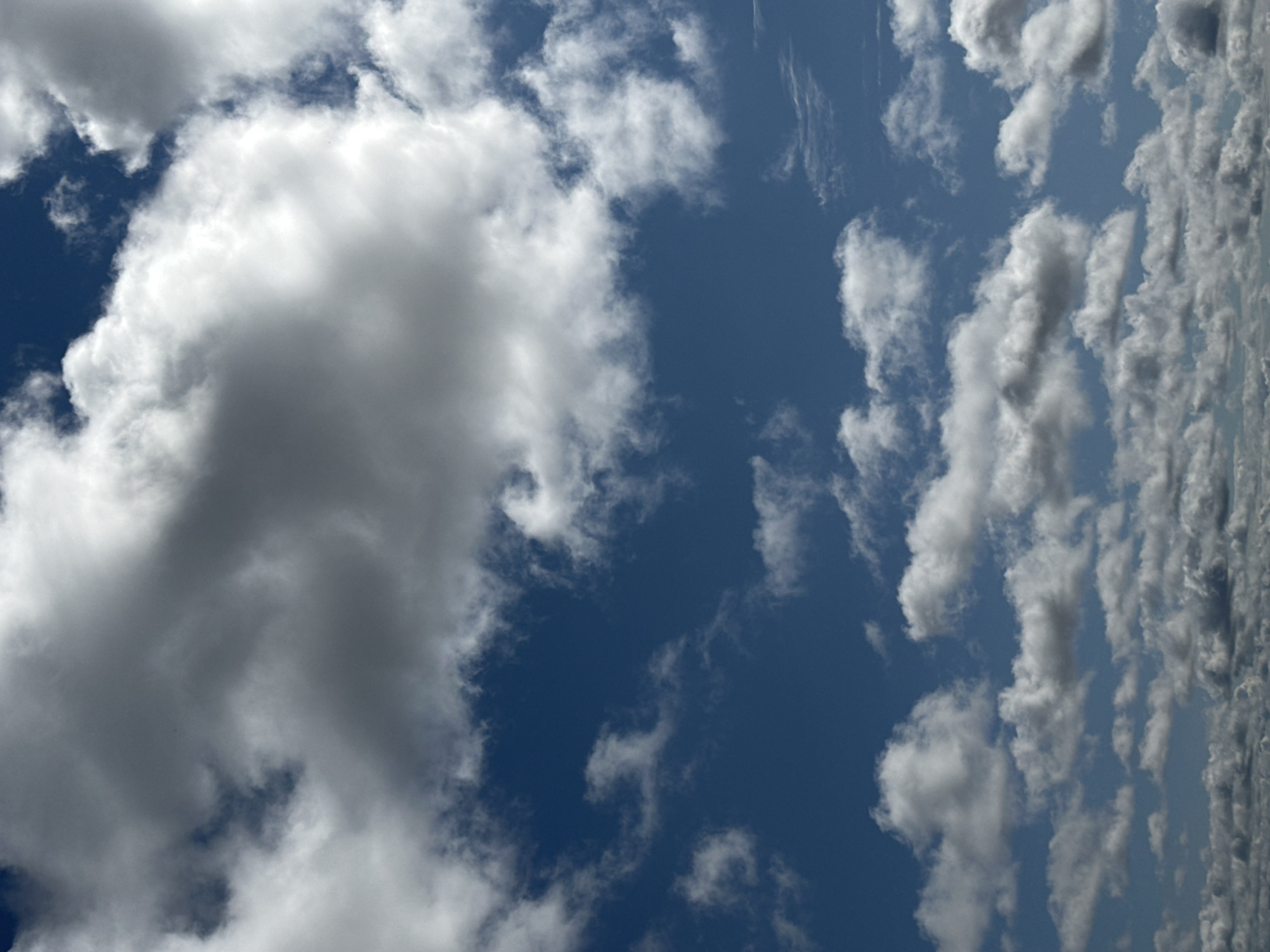 The image is a vertical, full-frame shot of a blue sky filled with a variety of white and gray clouds. The clouds are varied in size and density, with some appearing puffy and cumulus-like, while others are more wispy or form larger, diffused masses. The sky itself is a deep, clear blue. There are no visible people, structures, or any other elements of a cityscape or landscape in the image. The image appears to be an unobstructed view of the sky, with no indication of a specific location in Tallinn, Estonia, or any other geographical place.