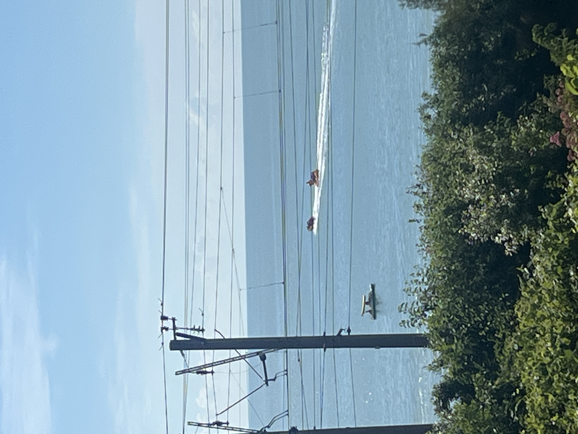 An eye-level, medium shot captures a bright, sunny day over a body of water. In the foreground, a thick line of lush green foliage obscures the bottom portion of the frame. Behind the vegetation, a series of power lines stretch horizontally across the image, supported by vertical utility poles. Beyond the power lines, the calm, blue water of the ocean stretches towards the horizon, meeting a clear, pale blue sky dotted with wispy white clouds.
On the water, two distinct vessels are visible. In the mid-ground, two individuals are seated on a yellow inflatable tube being towed by a boat, creating a white wake behind them. To the left and further back, a small, light-colored boat with a yellow canopy is moored on the water.