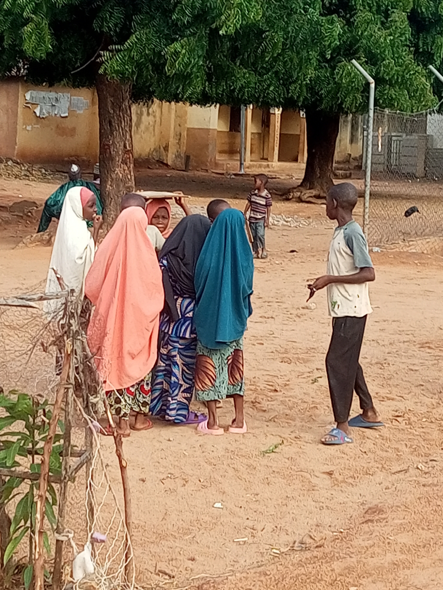 In this outdoor scene, a group of children are gathered in a dusty, open area, likely in Gombe, Nigeria. The ground is a light brown earth, scattered with debris. A large, mature tree with lush green foliage dominates the background, casting shadows and suggesting it might be midday or afternoon. Behind the tree, there are buildings with cream-colored walls and some darker trim. A chain-link fence runs along the right side of the image, separating the immediate area from a more distant, possibly enclosed space.
Several children are the central subjects. On the right, a boy with dark skin and short hair, wearing a light-colored t-shirt with grey sleeves and dark trousers, stands facing left. He is holding something small and red in his right hand. To his left, a group of children are clustered together. One child, also with dark skin and short hair, is wearing a striped t-shirt and jeans and stands facing left in the background, slightly behind the main group.
In the foreground, three children are more prominently visible. One child wears a bright orange headscarf and a patterned skirt, and is looking down. Another child is covered in a dark blue fabric, with a patterned skirt peeking out at the bottom. A third child, on the far left, wears a white headscarf and is looking towards the other children. One of the children appears to be carrying something on their head, although it is mostly obscured. The overall impression is of a casual gathering of children in a community setting. The weather appears to be warm and dry, typical of many parts of Nigeria. There is no visible text in the image.