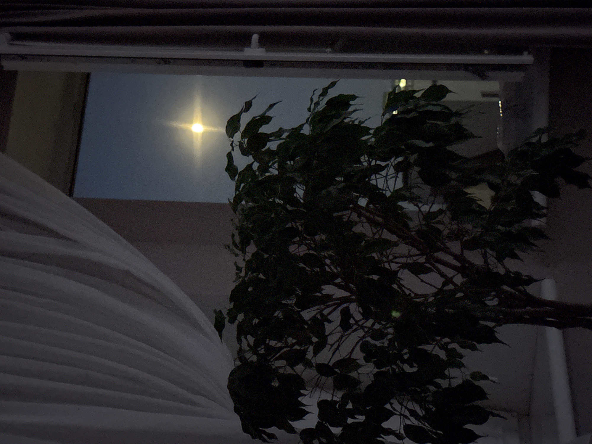 The image captures a nighttime scene through a window in Odesa, Ukraine. A potted plant with dark green leaves is positioned in the foreground, partially obscuring the view. Through the window, the moon is visible in the dark blue sky, appearing as a bright, glowing orb with a starburst effect. The moon is centered in the frame, casting a luminous glow. In the background, faint city lights are discernible, suggesting an urban environment. Sheer white curtains hang to the left of the window, and darker drapes are present on the right, framing the view. The overall atmosphere is calm and serene, illuminated by the moonlight.