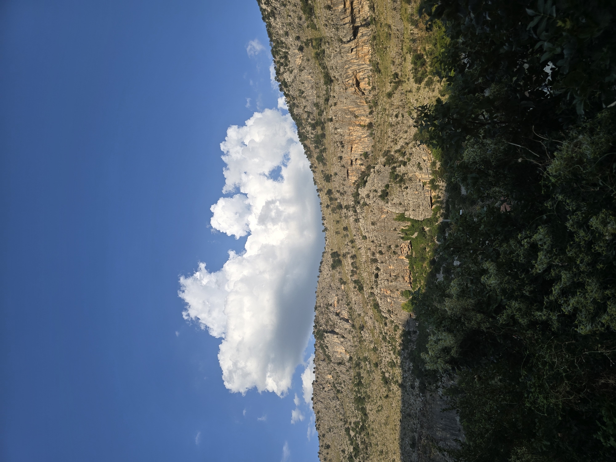 A dramatic landscape features a rugged, rocky mountain under a vibrant blue sky dotted with fluffy white clouds. The mountain slopes are covered in sparse vegetation and exhibit weathered rock formations, with some areas catching the warm glow of sunlight while others are cast in shadow. In the foreground, dense green foliage obscures the lower portion of the scene. The image evokes a sense of natural grandeur and the raw beauty of the Montenegrin terrain, likely a view overlooking a natural canyon or mountainous region near Podgorica.