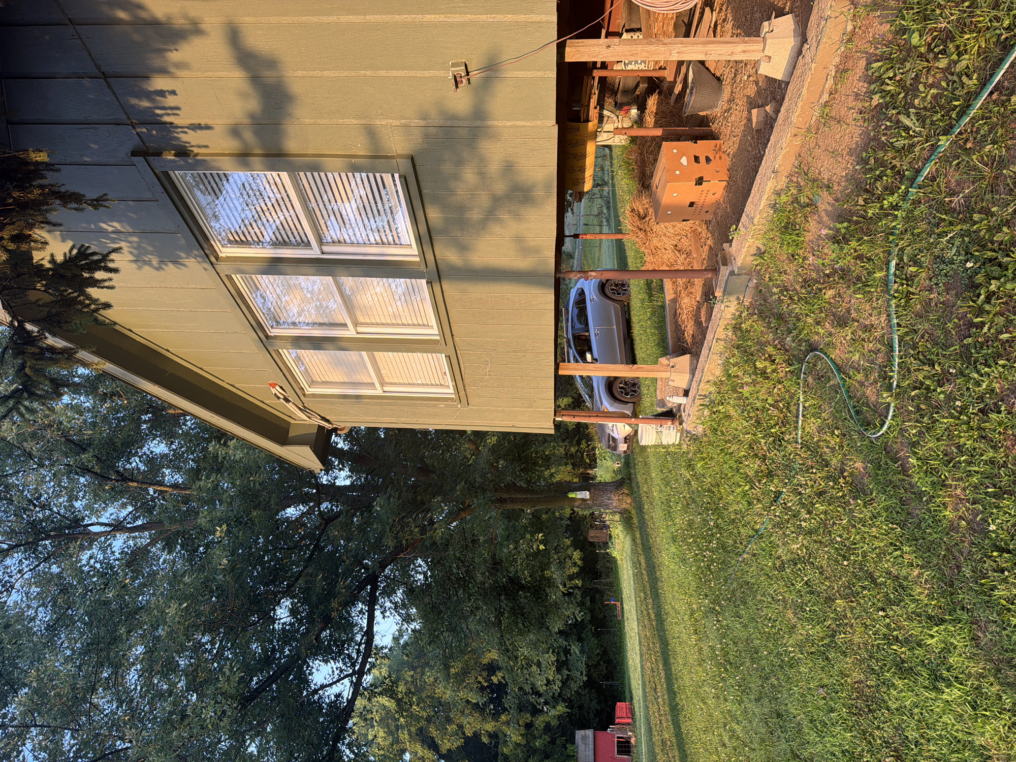 The image depicts a side view of a light green, wooden house raised on stilts, located in Holt, United States. The house has two windows with blinds. Underneath the house, a silver SUV is parked, and there is evidence of construction or storage materials, including hay bales and wooden beams. A cardboard box with ventilation holes sits on the hay. A green garden hose snakes across the grassy lawn in the foreground, which has scattered white flowers. In the background, a large, leafy tree stands prominently, and to the left, a small red shed with a red object next to it is visible. The scene is bathed in the warm light of what appears to be either sunrise or sunset, casting long shadows.