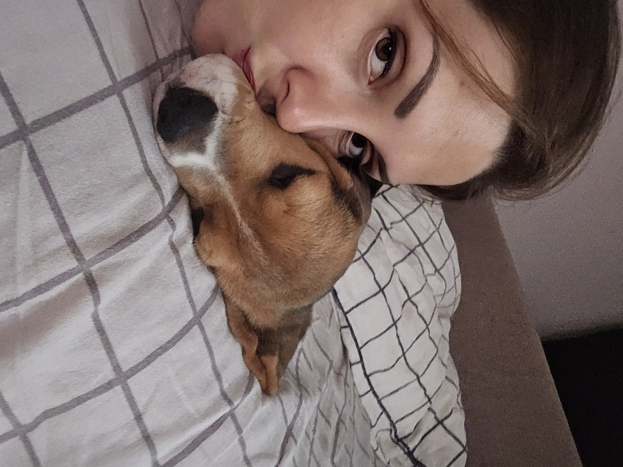 A woman is lying on her side, with a brown, tan, and white dog resting its head against her face. The woman has brown hair, fair skin, and is looking into the camera. The dog has a black and white patch on its snout. They are lying on a bed covered with a white and grey checkered duvet. Part of a tan headboard or wall is visible in the background. The location is Unknown, Unknown.