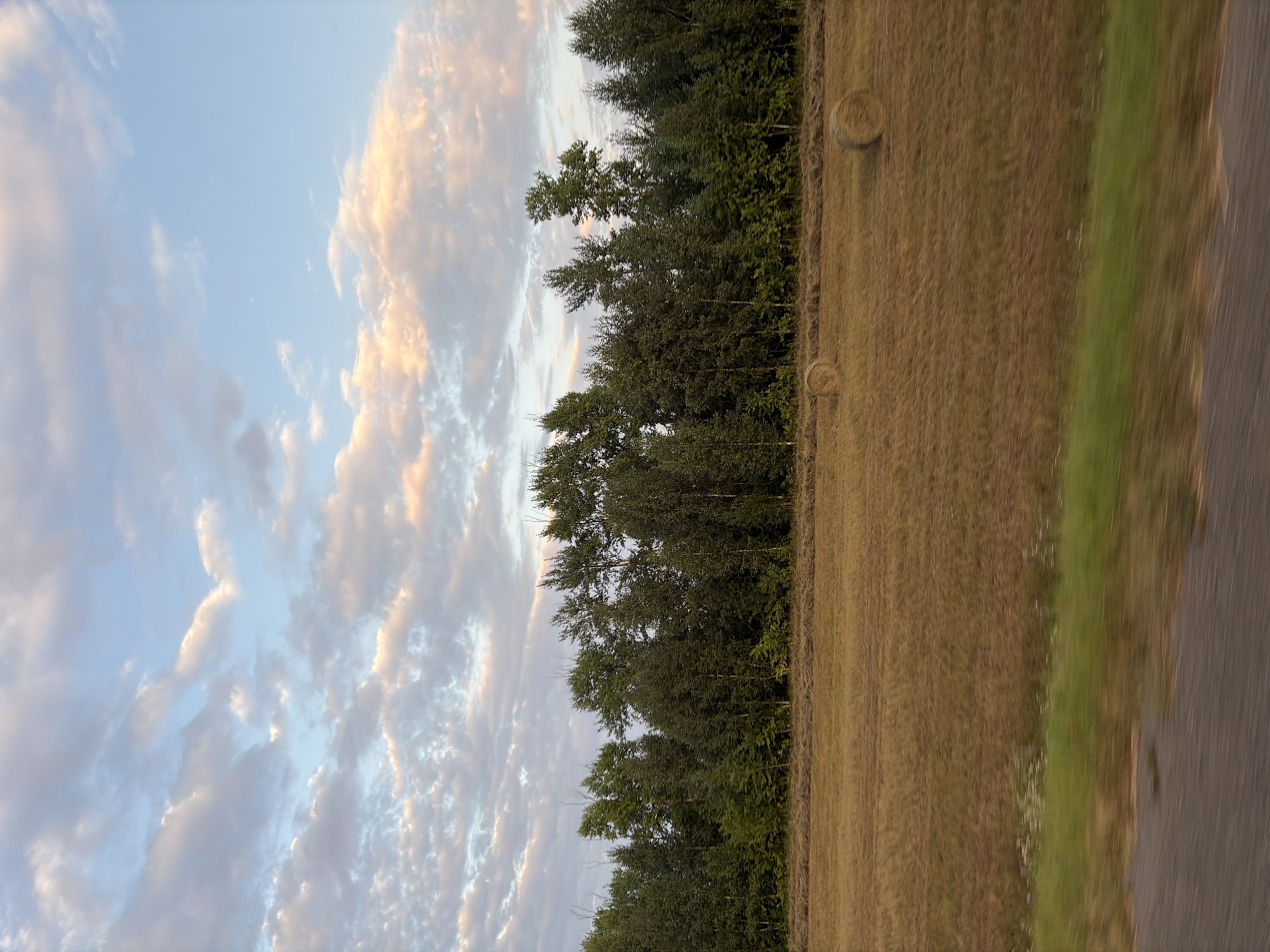 The image captures a rural landscape, likely in Oktyabr', Russia, during the golden hour or sunset. The sky is a soft blend of blue, white, and pink, with scattered clouds catching the warm light. Below the sky, a dense line of trees forms a dark green horizon. In the foreground, a harvested field of dry, golden grass stretches across the frame. Two round hay bales are visible in the field. The bottom of the image shows a blurred foreground, suggesting the photo was taken from a moving vehicle, with a patch of green vegetation and a dark, textured surface that appears to be a road.