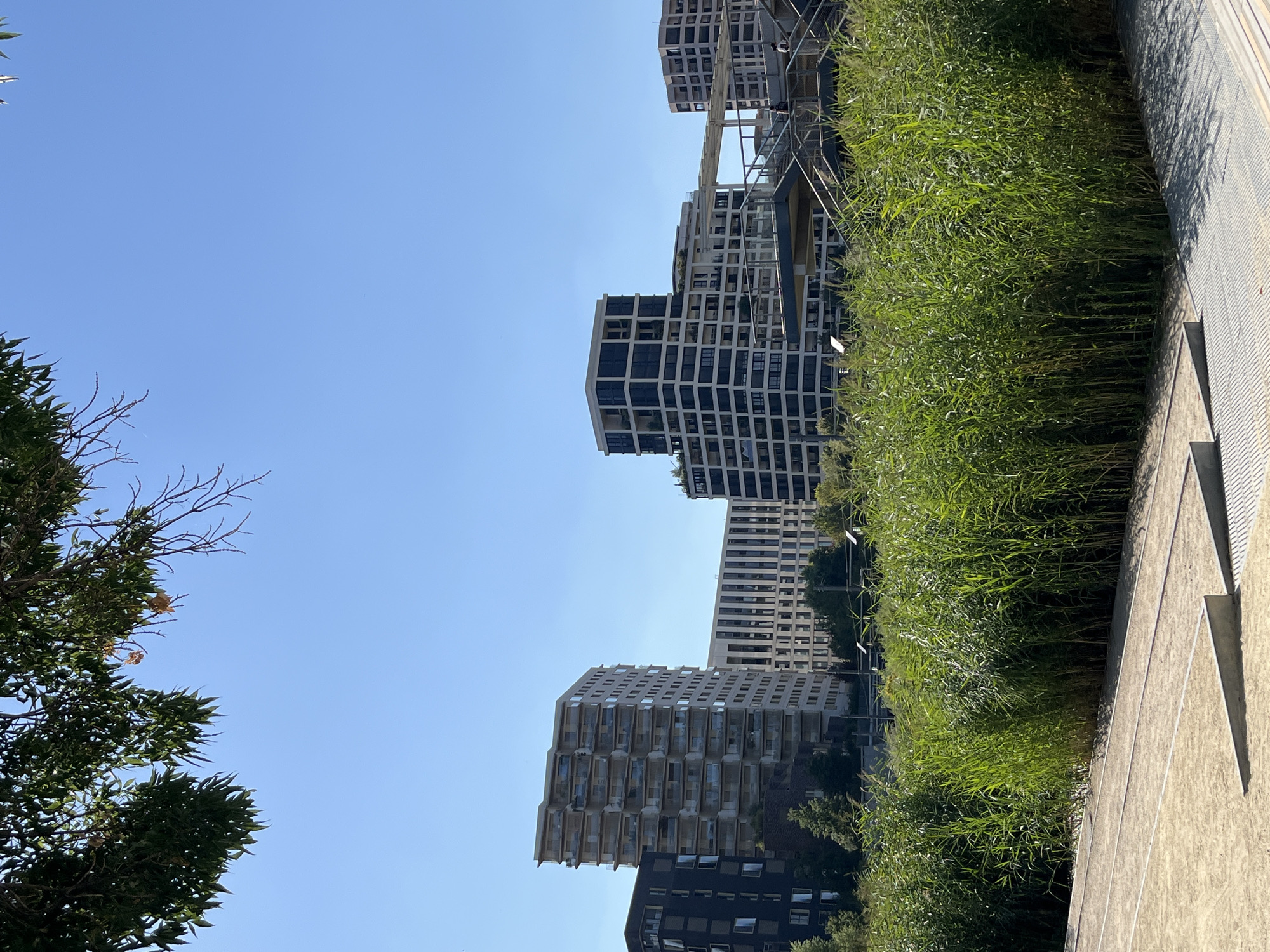 This image captures a sunny day in an urban park area in Paris, France, likely in the eastern districts near the Bois de Vincennes, given the presence of modern residential buildings. In the foreground, a sandy, paved area is visible with low concrete ramps, suggesting a public recreational space. A dense thicket of tall, green reeds dominates the middle ground, creating a natural barrier between the paved area and the cityscape beyond.
Behind the reeds, a series of contemporary apartment buildings rise against a clear blue sky. These buildings feature varied architectural styles, from dark-paneled facades with numerous windows to lighter-colored structures with balconies and repeating grid patterns. One building, in particular, is tall and slender with a light-colored facade and numerous small balconies. Another prominent building in the center is a dark-paneled, multi-story structure with a distinctive grid-like pattern of windows. To the right, a walkway or bridge structure with railings and stairs is visible, with a few indistinct figures walking on it, suggesting pedestrian activity. The tops of trees are visible between some of the buildings, indicating a mix of built and natural environments. A large tree branch with green leaves partially obscures the top left corner of the image, framing the scene from above. The overall impression is one of modern urban development integrated with natural elements.