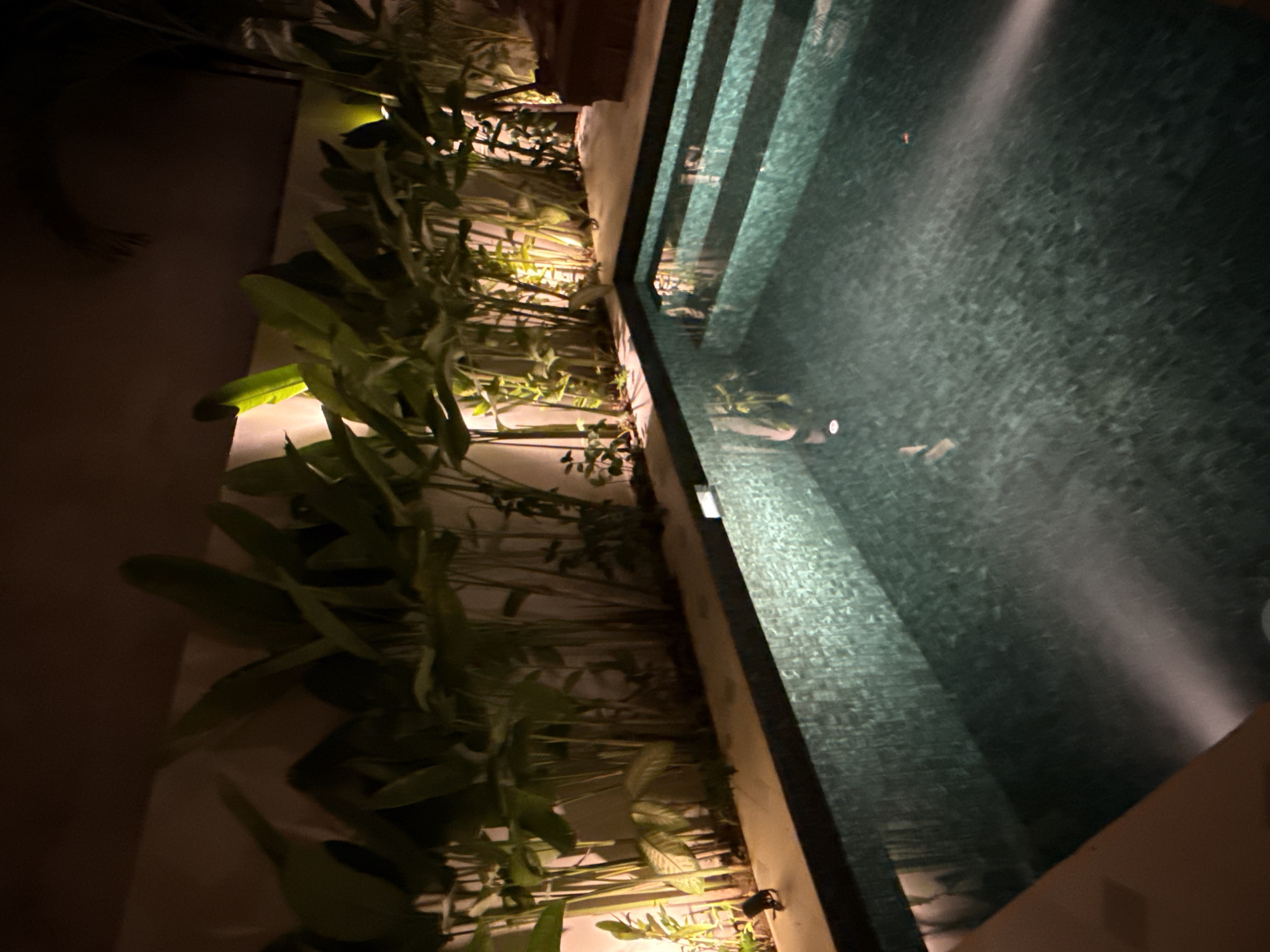 The image captures a swimming pool in Kuta Selatan, Indonesia, at night. The pool is tiled with a mosaic pattern. Reflected light streaks across the surface of the water. On the pool's edge, greenery grows, illuminated by hidden lights. The background is a blurred wall.