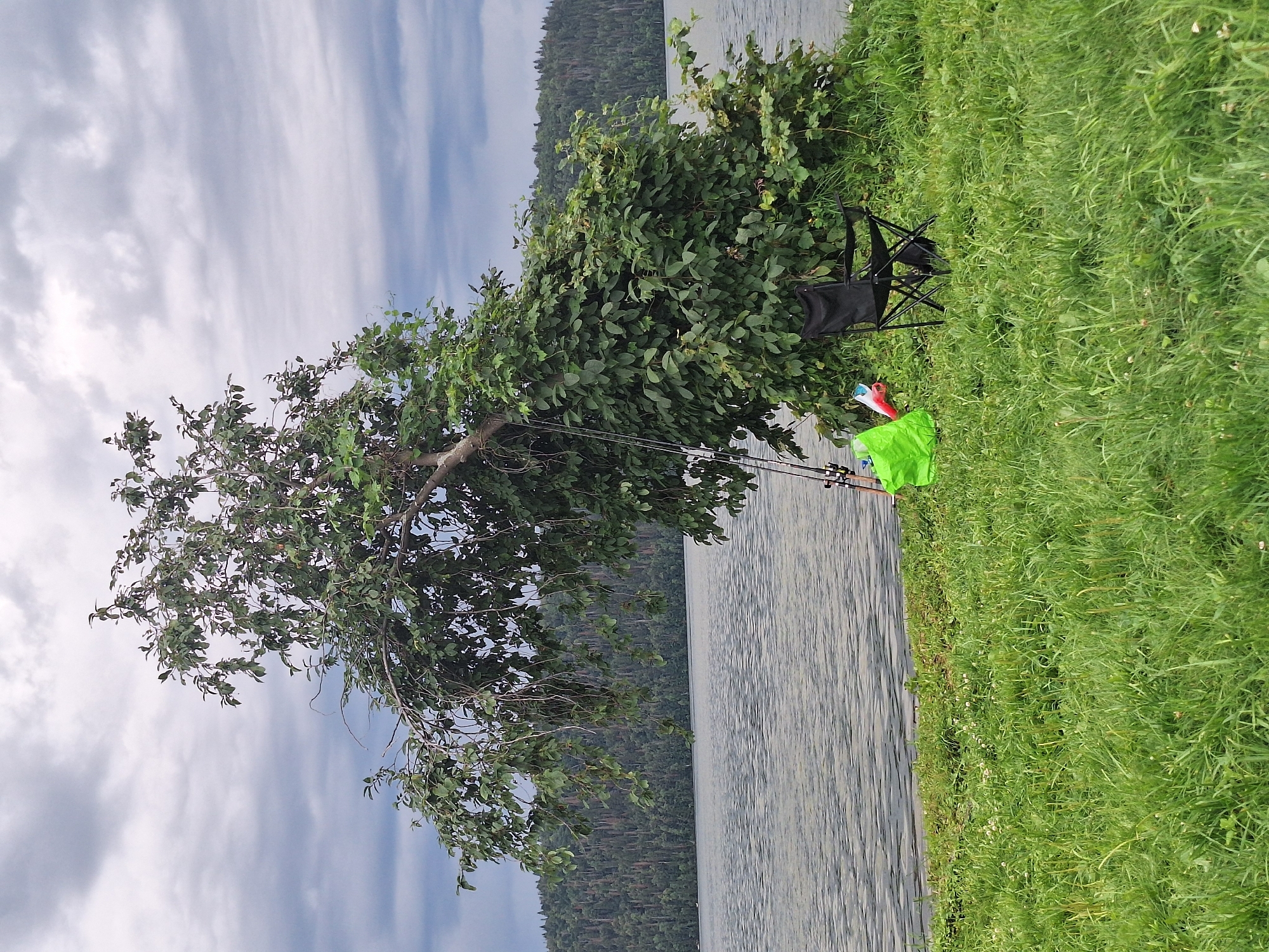 The image depicts a serene lakeside scene in Atamanovka, Russia. A large, mature tree with branches that arc dramatically over the grassy bank dominates the foreground. Several fishing rods are propped against the tree's trunk, suggesting a fishing excursion. Nearby, a bright green bag and a folded black camping chair are set up, implying a leisurely day by the water. The lake itself is calm, reflecting the overcast sky, and a dense forest covers the opposite shore. The ground is covered in lush green grass, dotted with small white flowers. The overall atmosphere is peaceful and natural.