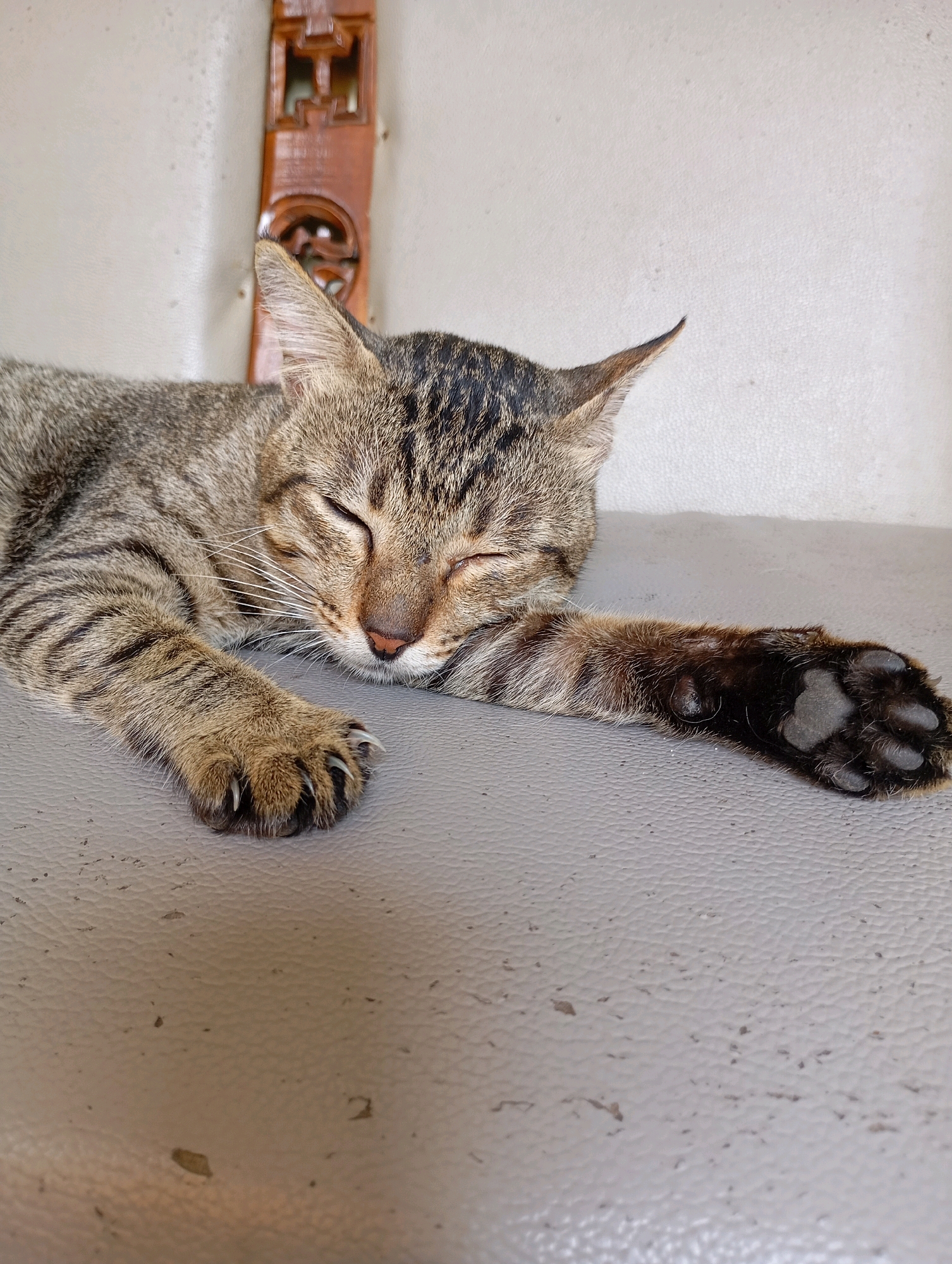 A domestic short-haired cat, with tabby markings in shades of brown and black, sleeps on a textured gray surface. The cat is lying on its right side, with its head resting on its paws. Its eyes are closed, and its ears are perked slightly. One paw is extended forward, revealing sharp claws. In the background, a light-colored wall is visible, with a dark wooden decorative element hanging on it. The scene is indoors, possibly in a home in Balikpapan, Indonesia. The lighting appears to be natural, casting soft shadows.