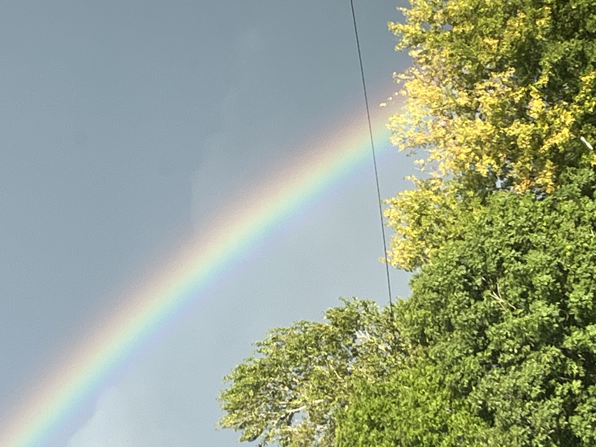 A rainbow arches across a grey sky over a line of trees in Kohtla-Järve linn, Estonia. The trees in the foreground are lush green, with some showing yellowing leaves, indicating a change in season. A thin black wire, likely a power line, stretches horizontally across the frame, intersecting the lower portion of the rainbow. The sky is overcast, with the grey tones suggesting recent rain or impending weather changes. There are no people or animals visible in the image.