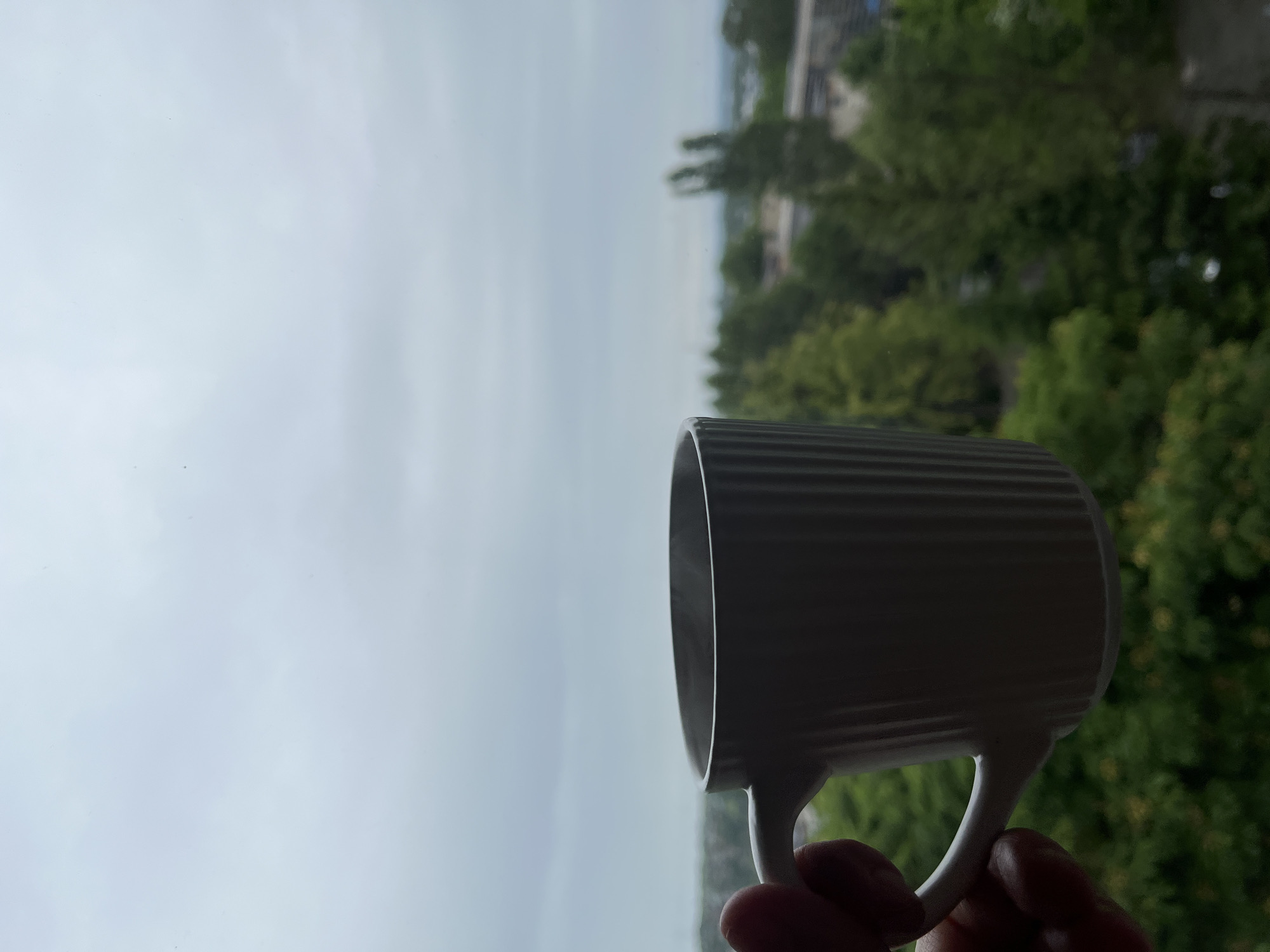 The image displays a hand holding a white ceramic mug, viewed from an indoor setting looking out through a window. The photograph is oriented vertically, showing the mug on the right side of the frame, held by fingers that are partially visible at the bottom. The mug has a distinctive ridged pattern on its exterior.
Beyond the mug, a hazy outdoor scene unfolds through the window. The upper portion of the background is dominated by a pale, overcast or cloudy sky, appearing in shades of light gray and blue. Beneath the sky, a lush expanse of green trees and foliage is visible, suggesting a natural or semi-natural environment. Some blurry, indistinct shapes that could be distant buildings or structures are also faintly discernible among or behind the trees on the right side of the background.
The lighting indicates daytime, likely on an overcast or cloudy day, given the diffused light and lack of direct sunlight. No visible text is present in the image. The scene conveys a quiet, contemplative atmosphere from what appears to be an elevated vantage point overlooking a green landscape with hints of distant development.