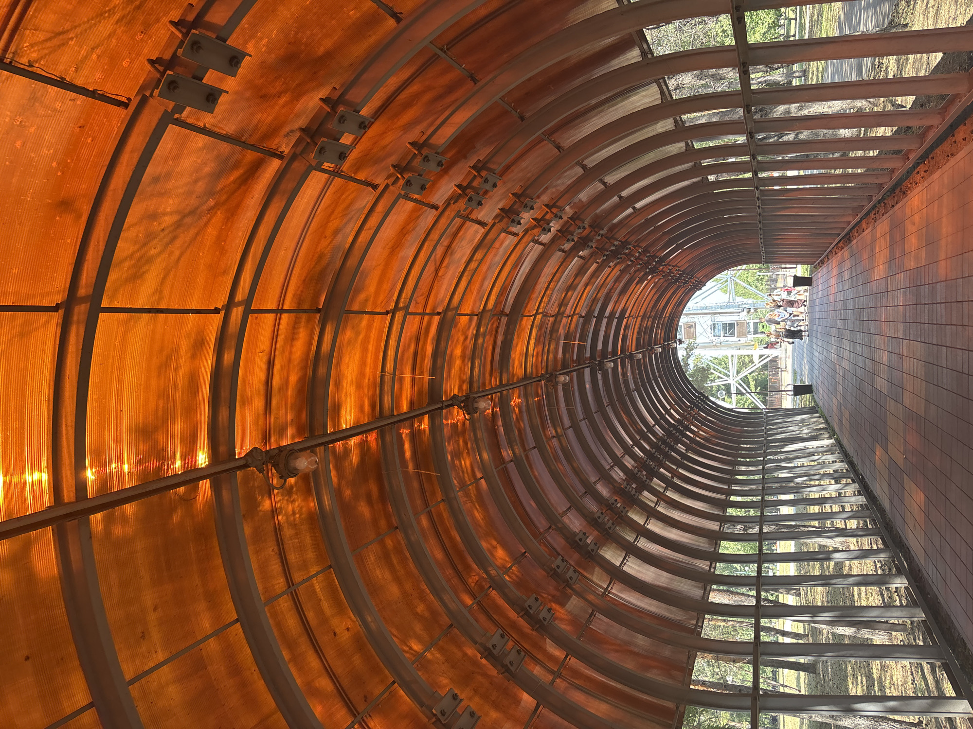 This is a vertical, eye-level, full shot of an orange, translucent covered walkway in the city of Belovo, Russia. The walkway has a metallic, arched frame and is lit by the sun filtering through the orange roof, creating warm, dappled lighting on the tiled path. On the left side of the walkway, there are vertical metallic posts and outside the walkway, trees and foliage are visible. On the right side, similar posts and foliage are seen. In the distance, at the end of the walkway, a group of people are walking and a Ferris wheel can be seen. The ground is paved with square tiles.
