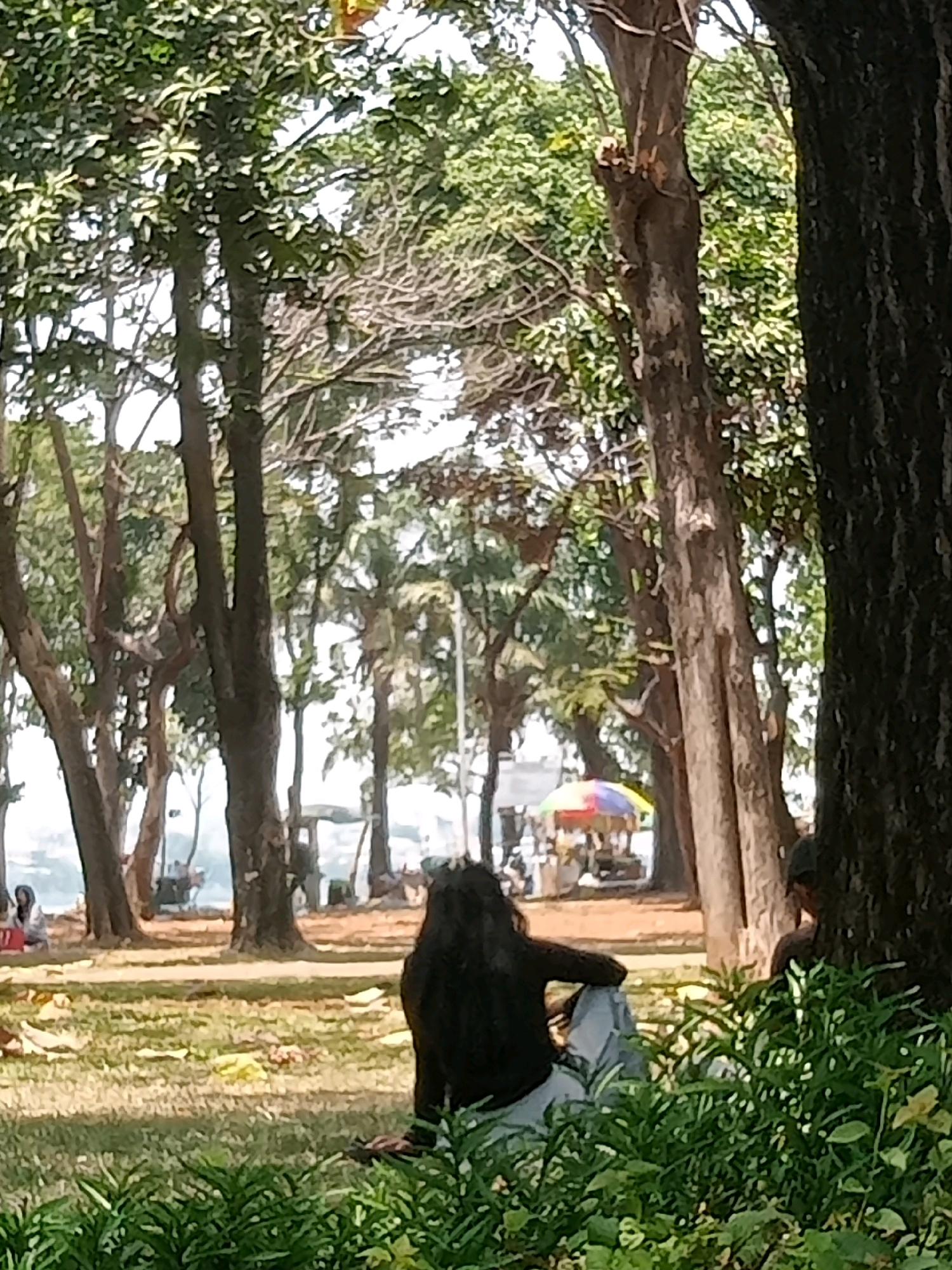 In a park setting, a woman with long dark hair is seen from behind, sitting on the grass with her legs crossed, facing away from the camera. She is wearing a dark top and light-colored pants. In the background, several trees with green foliage line a grassy area. Further in the distance, a colorful umbrella covers a vendor stall, and a body of water, likely the Java Sea, is visible. The scene is set in Ancol Beach City, North Jakarta, Indonesia, a popular waterfront recreation area known for its beaches, amusement parks, and shopping centers.