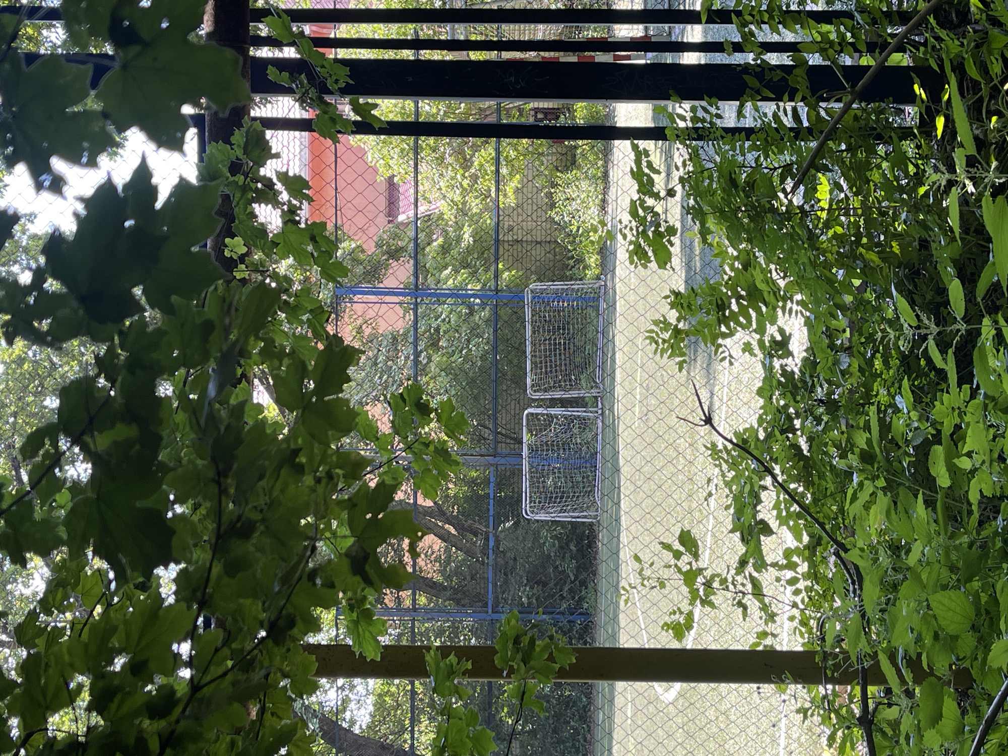 The image, taken from a slightly elevated perspective looking down and through lush green foliage, shows a fenced-in sports field with two small soccer goals. The field itself appears to be made of artificial turf, with white lines marking its boundaries. In the background, a building with a reddish-orange facade is visible, surrounded by trees. The scene is framed by dark, horizontal beams overhead and a chain-link fence that runs across the foreground and midground. The sun is shining, casting dappled light through the leaves onto the field. The overall impression is one of a somewhat overgrown but well-maintained outdoor sports area, possibly a school or community facility, in a verdant setting. The orientation of the image is rotated 90 degrees clockwise.