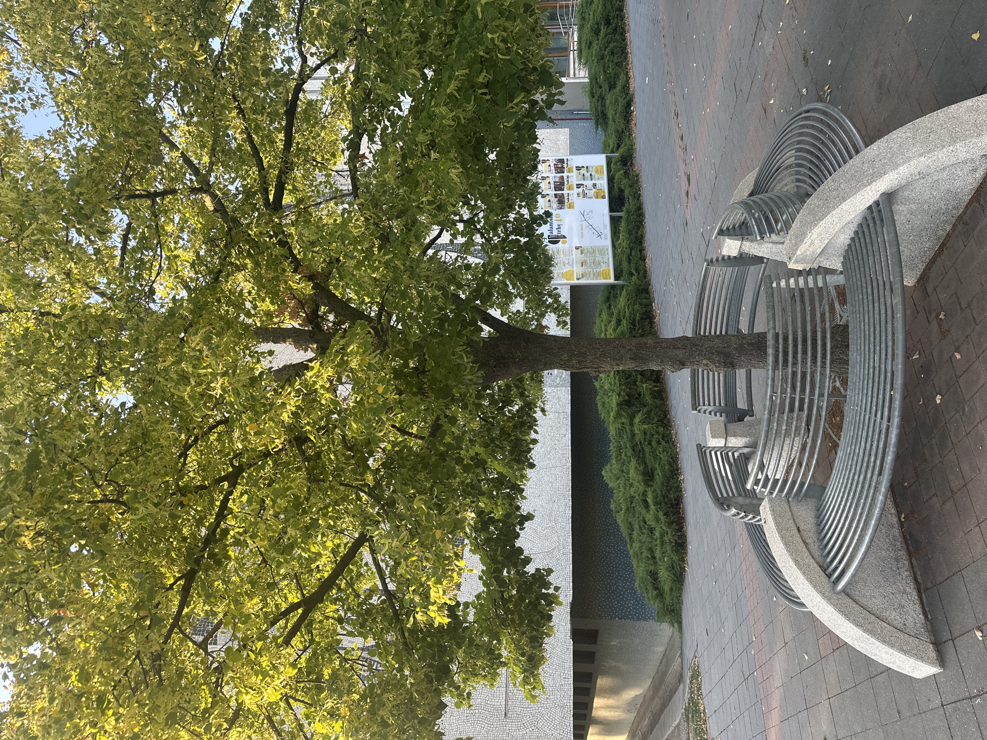The image depicts a circular bench surrounding a tree in what appears to be a public urban space. The bench is constructed from grey metal bars arranged in concentric circles, supported by curved concrete bases. The tree has a thick trunk and is heavily foliated with green and yellow leaves, suggesting it might be autumn. In the background, a building with a textured facade and a modern design is visible, along with dense green bushes. A bulletin board with various posters and information is placed behind the bench and to the right of the tree. The ground is paved with grey bricks. The lighting suggests it is daytime, with sunlight filtering through the leaves and casting shadows.
This scene is located at the entrance to the Galanta Municipal Office, in Galanta, Slovakia.