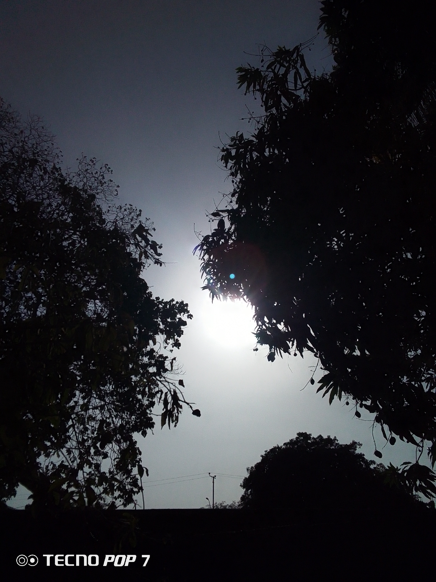 The image shows a low-angle shot of the sky with trees silhouetted against it. The sun is visible through the trees, creating a bright spot in the center of the frame. The image was taken in Altagracia, Venezuela. There are trees in the foreground and middle ground, silhouetted against the sky. There are electrical wires and a utility pole visible in the distance.