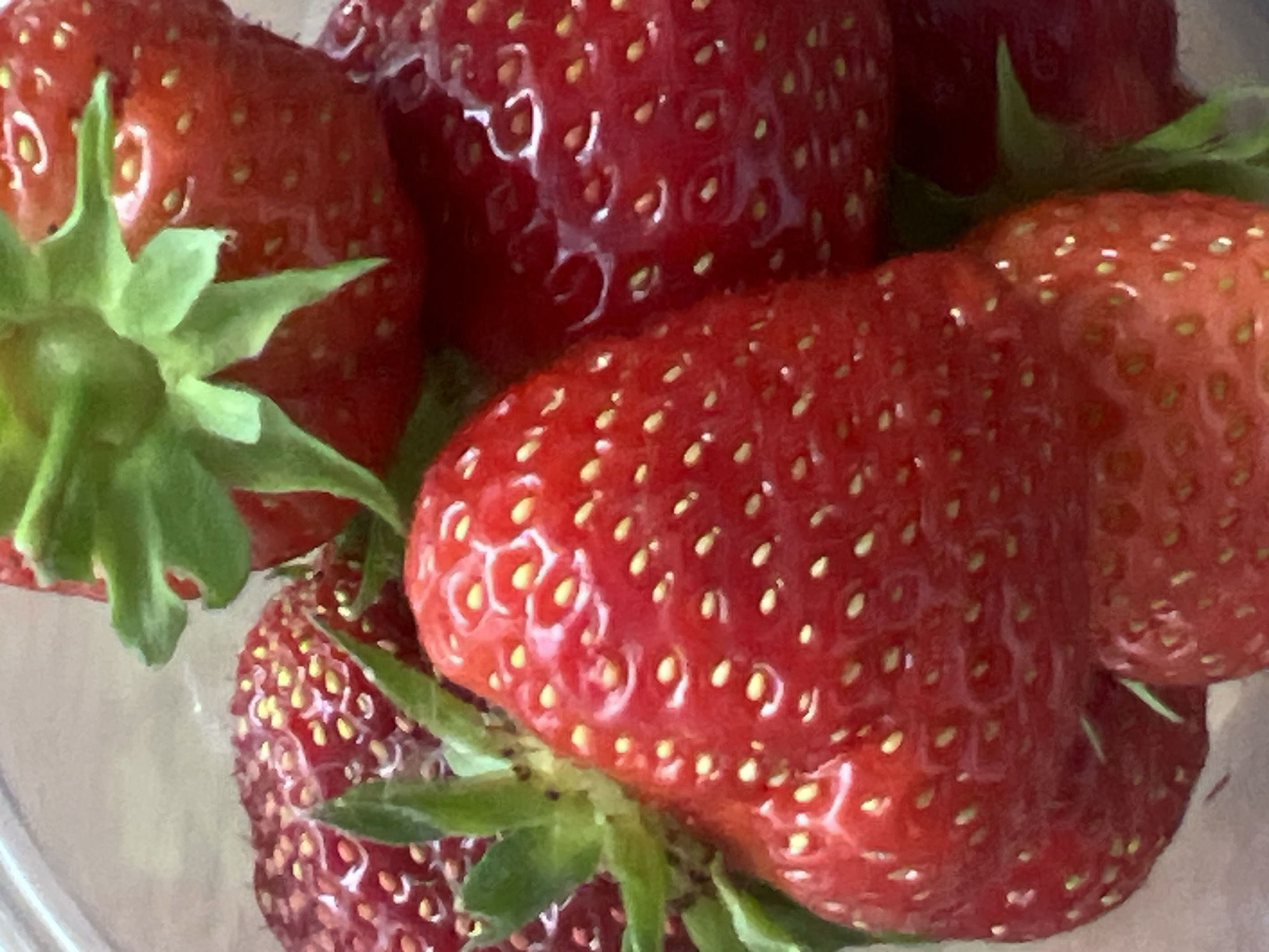 This media file is a close-up, eye-level shot of several ripe strawberries in a clear container. The focus is on the texture and detail of the fruit, with prominent red skin, numerous small yellow seeds, and the green calyx (stem and leaves) visible on some of the strawberries. The lighting appears to be natural, highlighting the glossy sheen of the strawberries, suggesting they are fresh. The setting is likely indoors, given the controlled lighting and the presence of a container. There are no people, text, or any specific cues indicating the time of day, weather, or a broader location beyond that implied by the food item itself. The overall impression is one of freshness and natural beauty of the fruit.