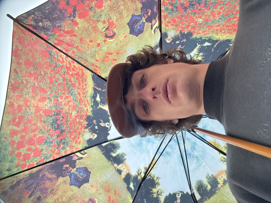 A person holding an umbrella is captured in an unusual low-angle perspective. The umbrella's canopy showcases a colorful, impressionistic design with hues of red, brown, and green. The person is wearing a brown cap and a black sweater. The backdrop is a mixture of abstract and landscape elements, suggesting a stylized outdoor scene.