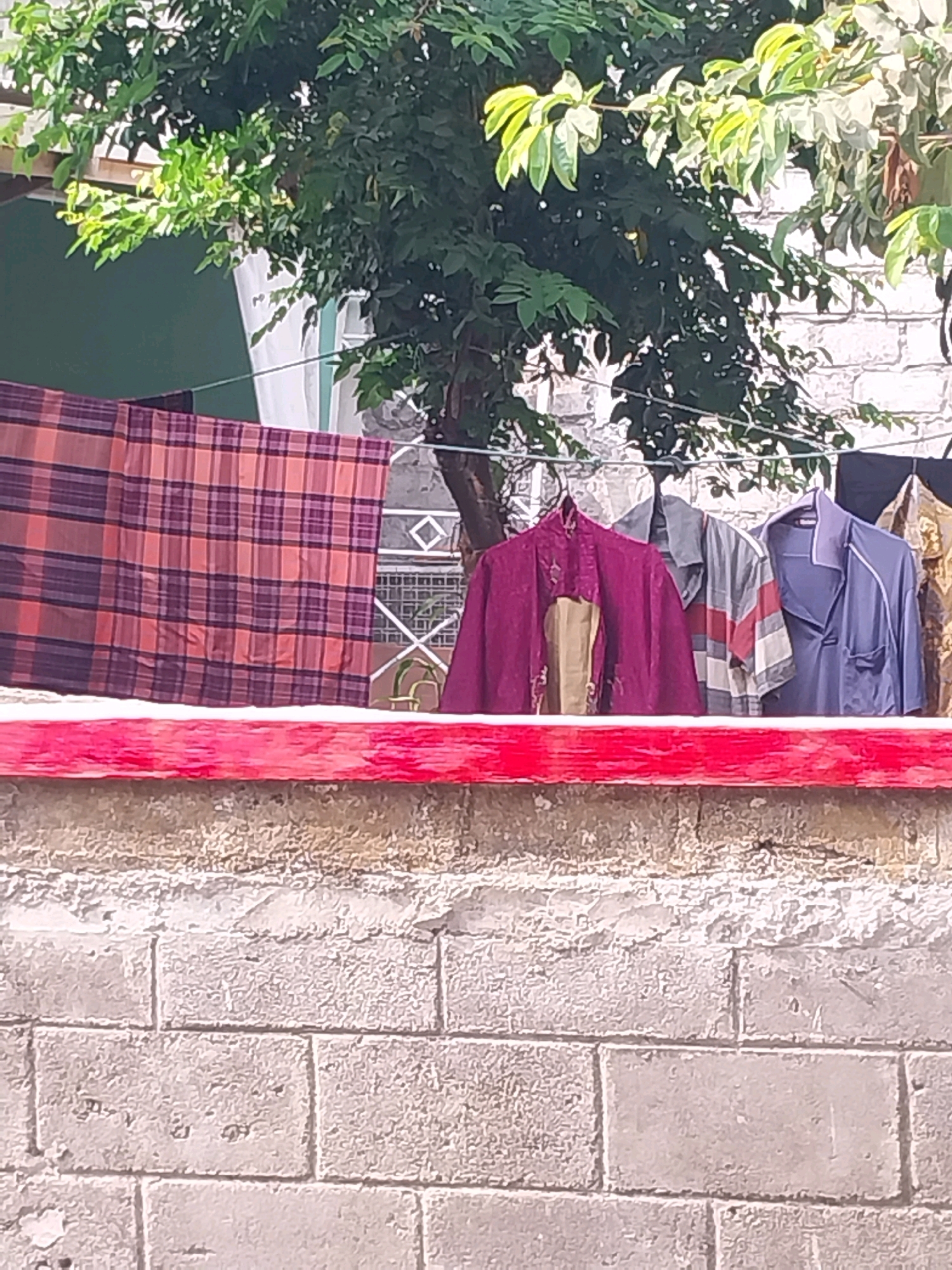 In Purwomartani, Indonesia, clothes are seen hanging on a clothesline against a backdrop of lush green foliage, a brick wall, and a segment of a white building. The clothesline holds two plaid blankets, a deep purple garment with a tan insert, a striped shirt with red, white, and grey bands, and a blue collared shirt. Below the clothesline, a prominent red-painted concrete barrier runs horizontally across the frame. The lower portion of the image reveals a textured wall constructed from large, light-colored bricks.