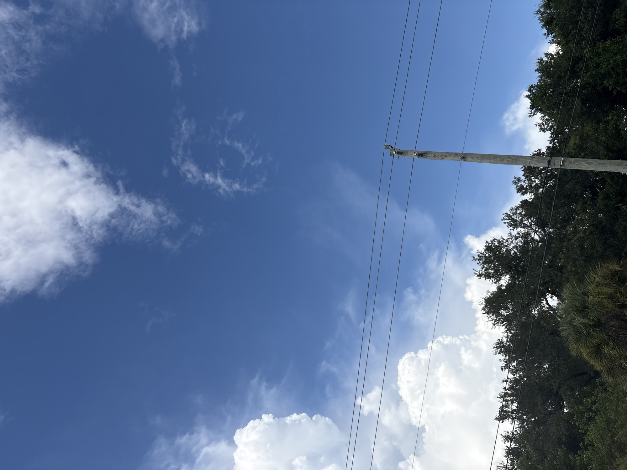 A low-angle, eye-level outdoor full shot captures a vibrant blue sky with scattered white cumulus clouds. In the mid-ground, a line of dark green trees forms a dense canopy across the frame. A weathered, light-colored wooden utility pole stands vertically on the right side of the image, supporting multiple black electrical wires that stretch horizontally across the scene. A large, fluffy white cloud is positioned in the upper left quadrant of the image, contrasting with the clear blue sky. The image appears to be taken during daylight hours. The scene depicts a semi-rural or suburban environment, potentially in North Port, United States of America, given the presence of utility infrastructure and natural foliage. No people are visible in the image.