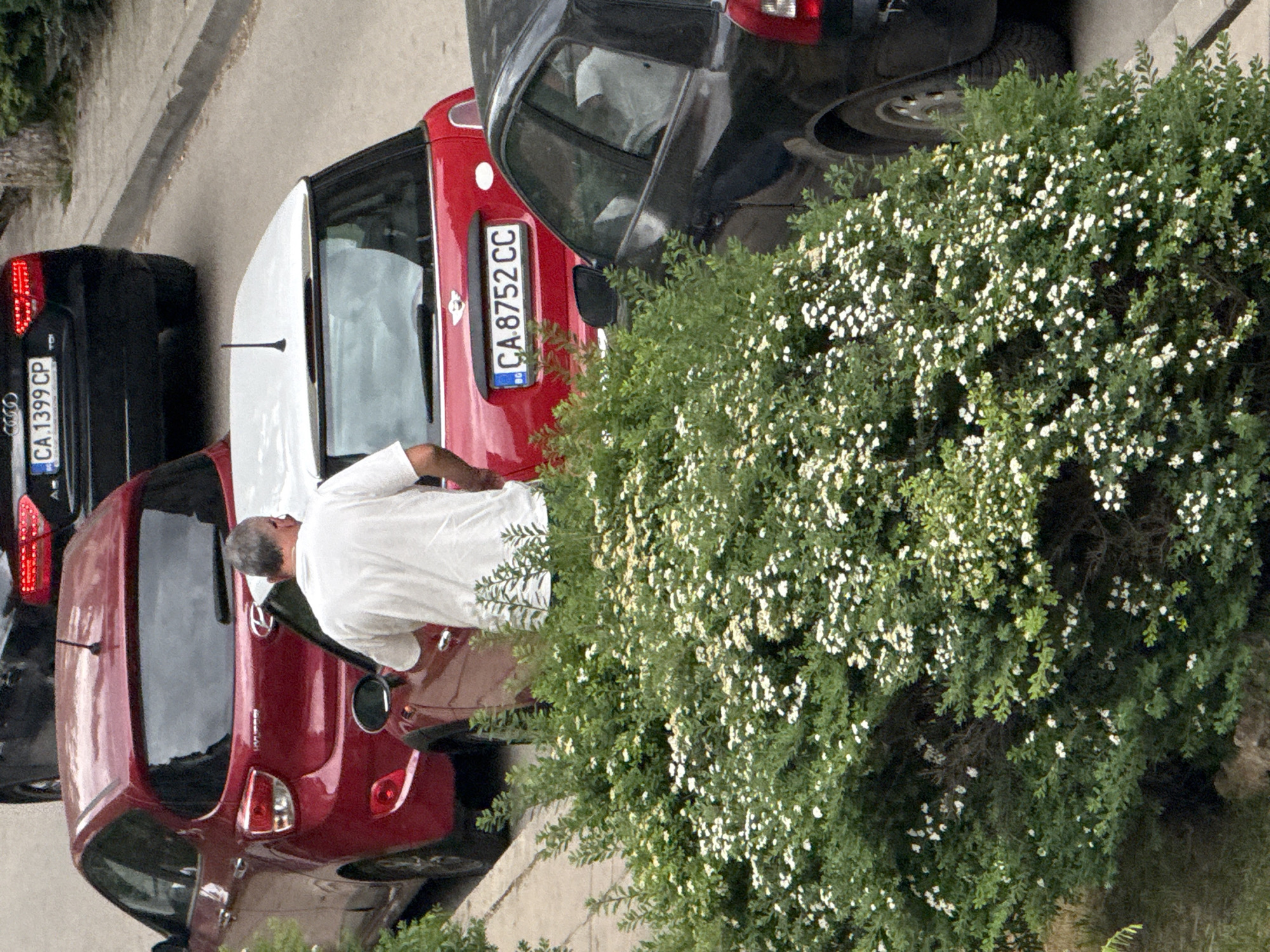 A man in a white shirt is interacting with a red and white car, specifically near the fuel filler. Next to it is a black car. The license plates of the cars are visible, reading "CA 8752 CC" and "CA 1399 CP" respectively. A bush with white flowers is partially obscuring the view. The setting appears to be an urban street. This scene is located in the city of Sofia, Bulgaria, as evidenced by the license plates.