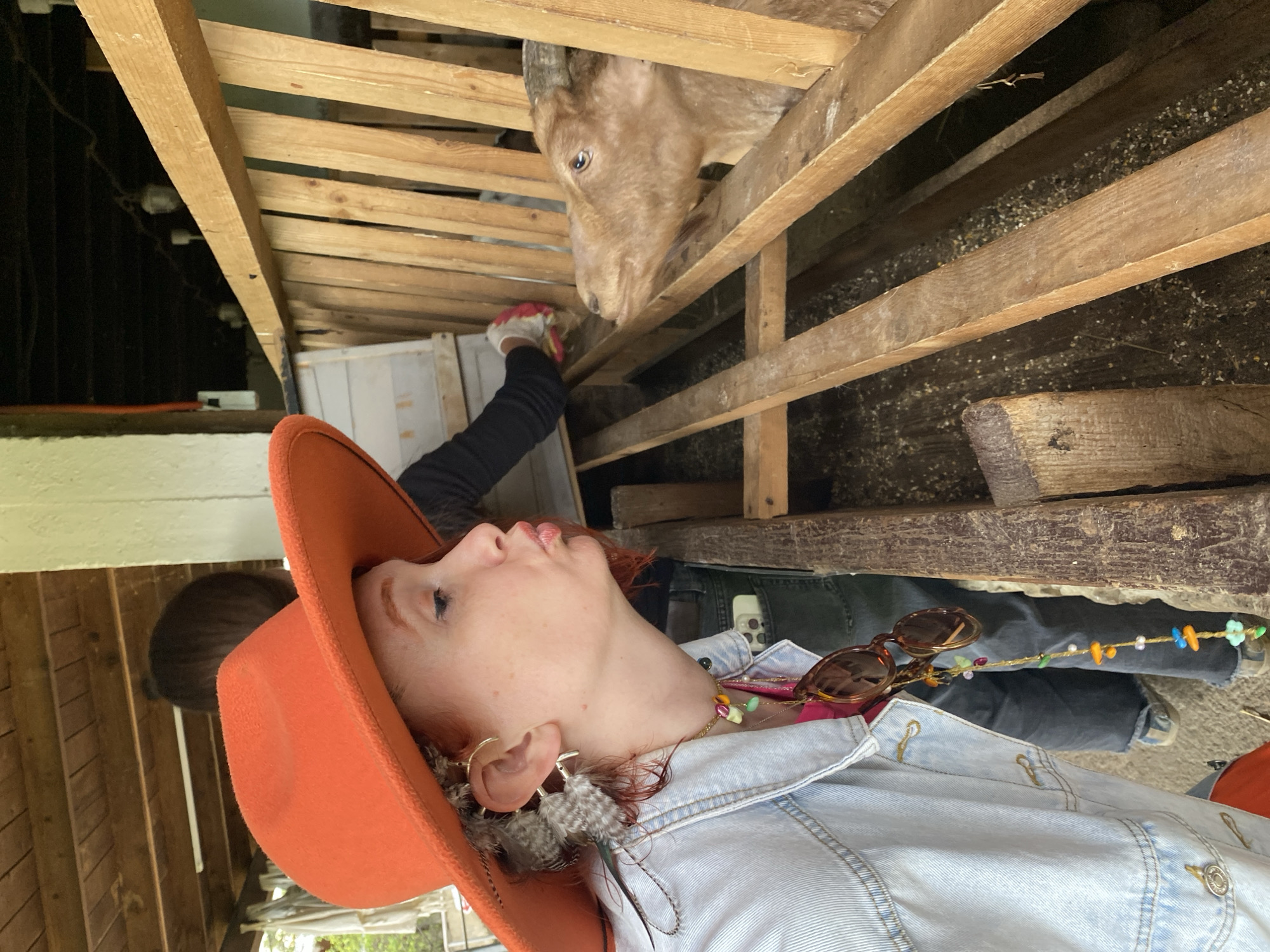A fair-skinned person wearing a wide-brimmed orange hat, a light blue denim jacket, and colorful necklaces is looking up at a goat in a wooden pen. The person is likely interacting with the goat, as an arm with a red and white gloved hand appears to be reaching towards it. The location is undetermined and not confirmed to be in Прогресс, Russia.