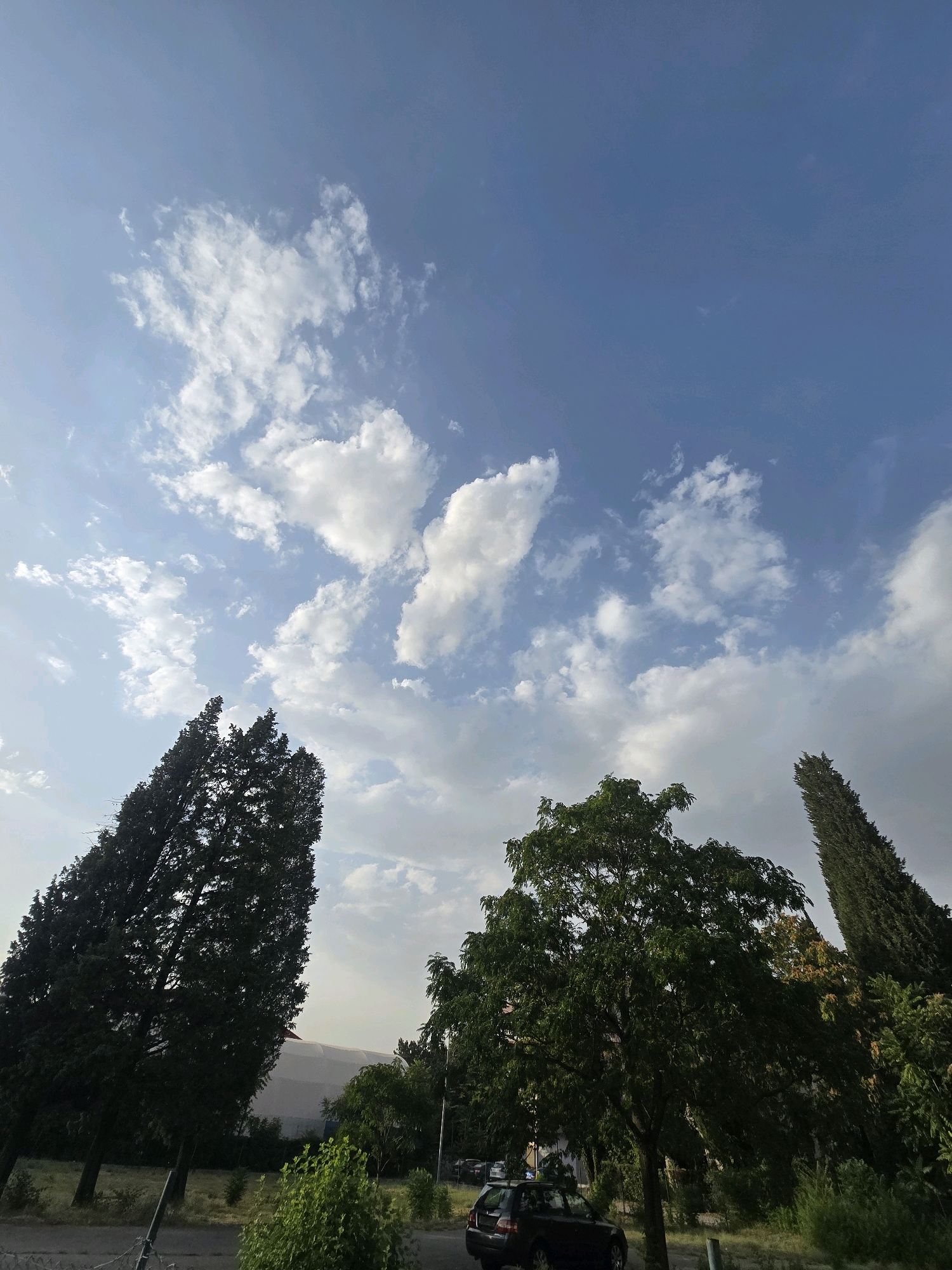 A low-angle shot captures a segment of the sky filled with scattered white clouds against a clear blue expanse. The lower portion of the frame is dominated by the dark silhouettes of various trees, including a tall, slender cypress tree on the left, a broader deciduous tree in the center with lush green foliage, and another tall cypress on the right. In the background, a large, light-colored domed structure, possibly a building or stadium, is partially visible between the trees, and a dark-colored car is parked to the right. The scene appears to be outdoors, possibly in a park or along a street in Podgorica, Montenegro, given the characteristic vegetation and architectural hints.